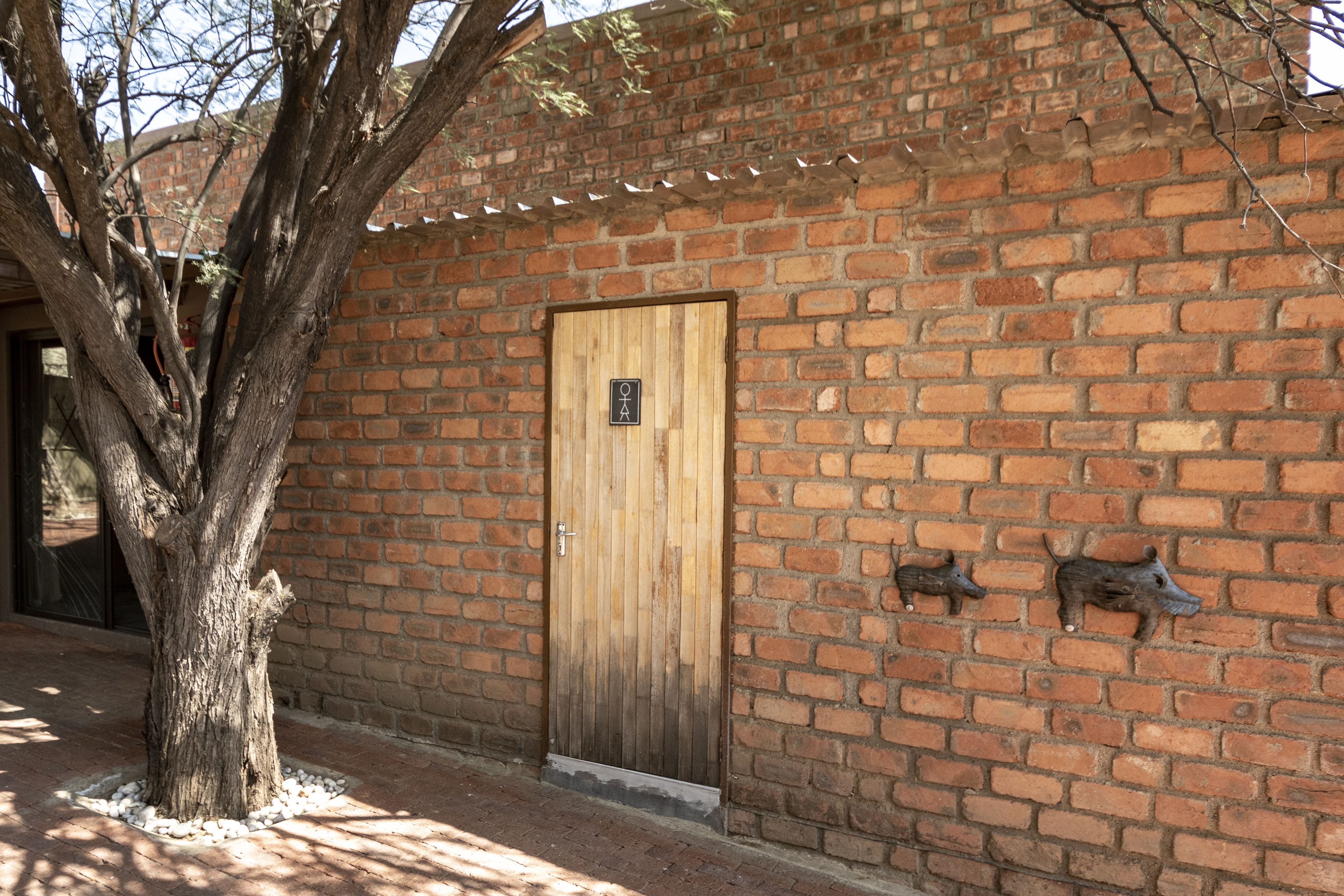 Ripley's Self-Catering Camp Windhoek