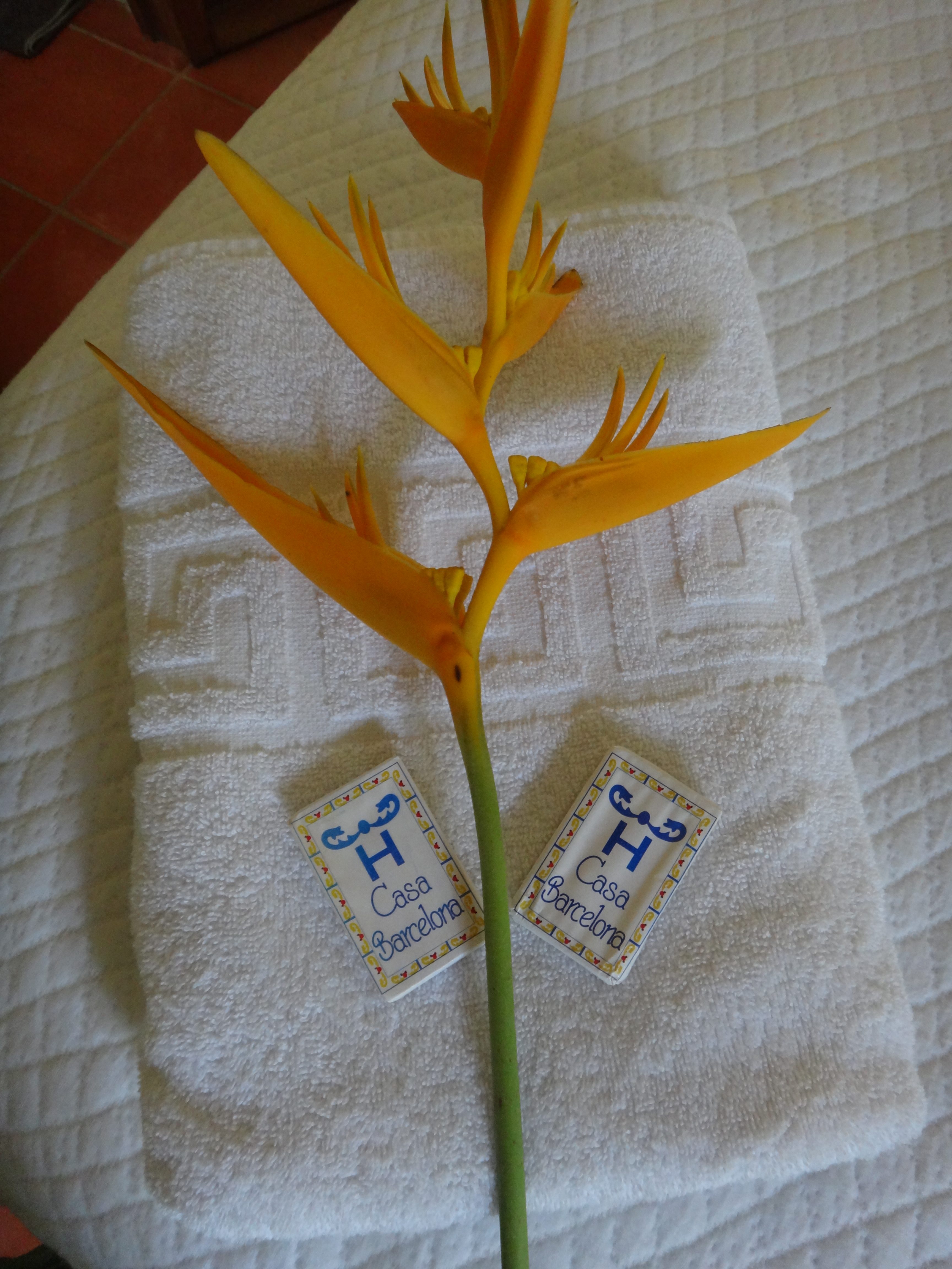 Hotel Casa Barcelona