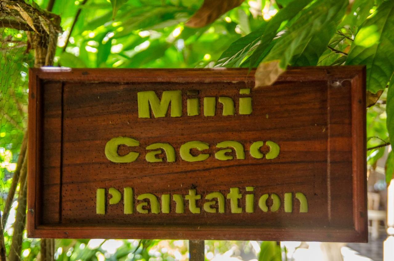 Mansion de Chocolate