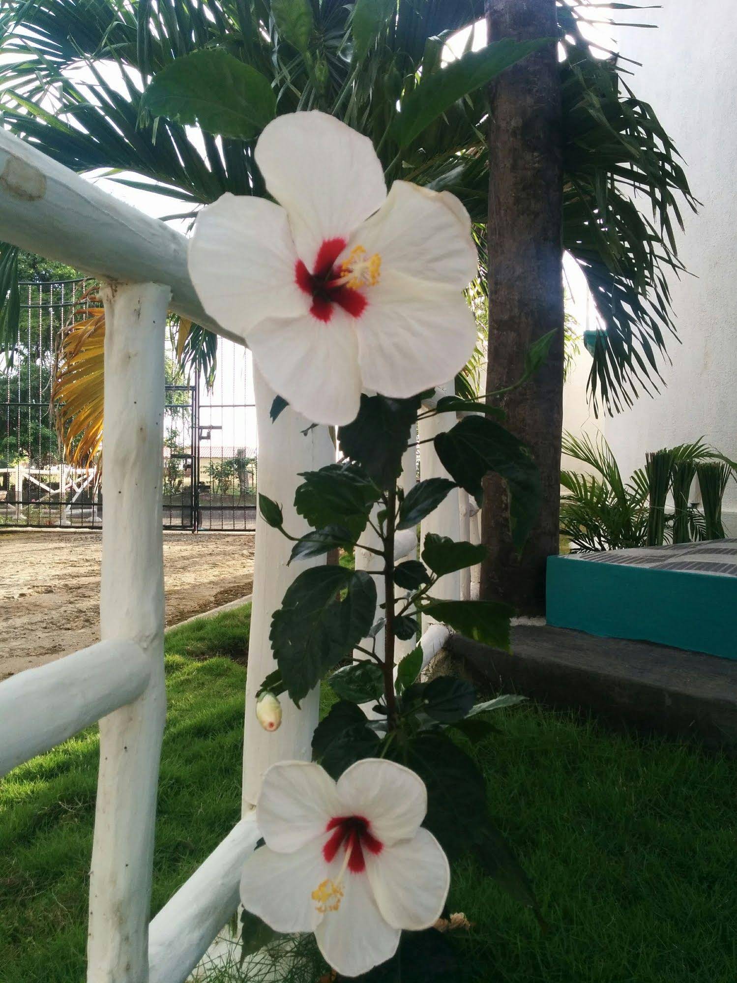 Nayal Lodge
