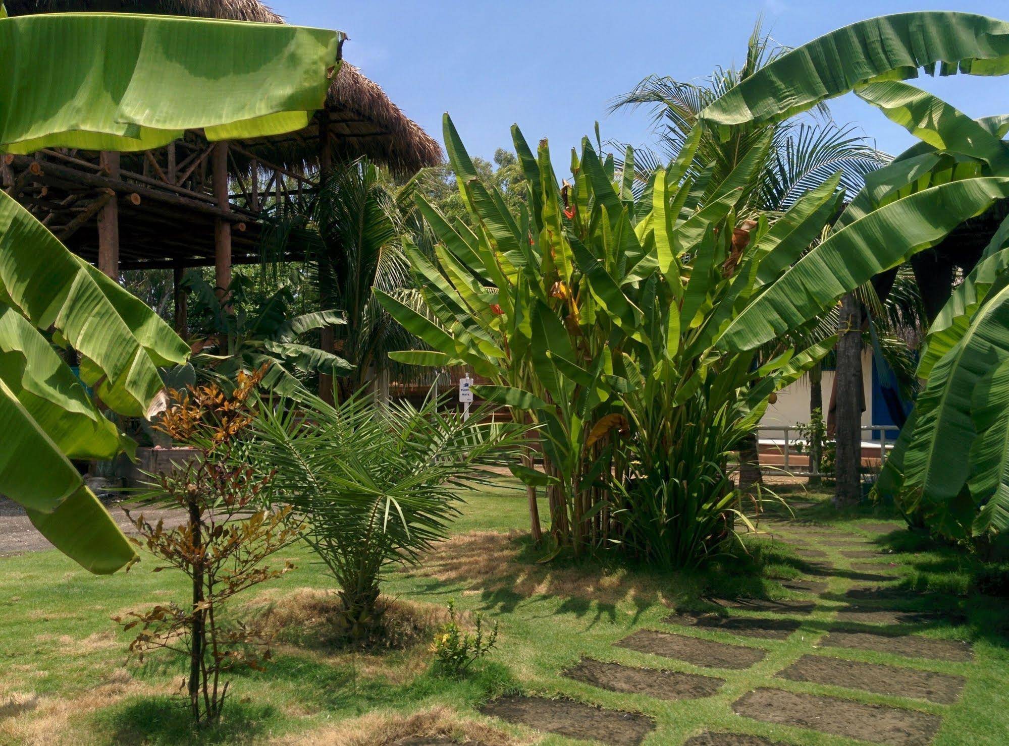 Nayal Lodge