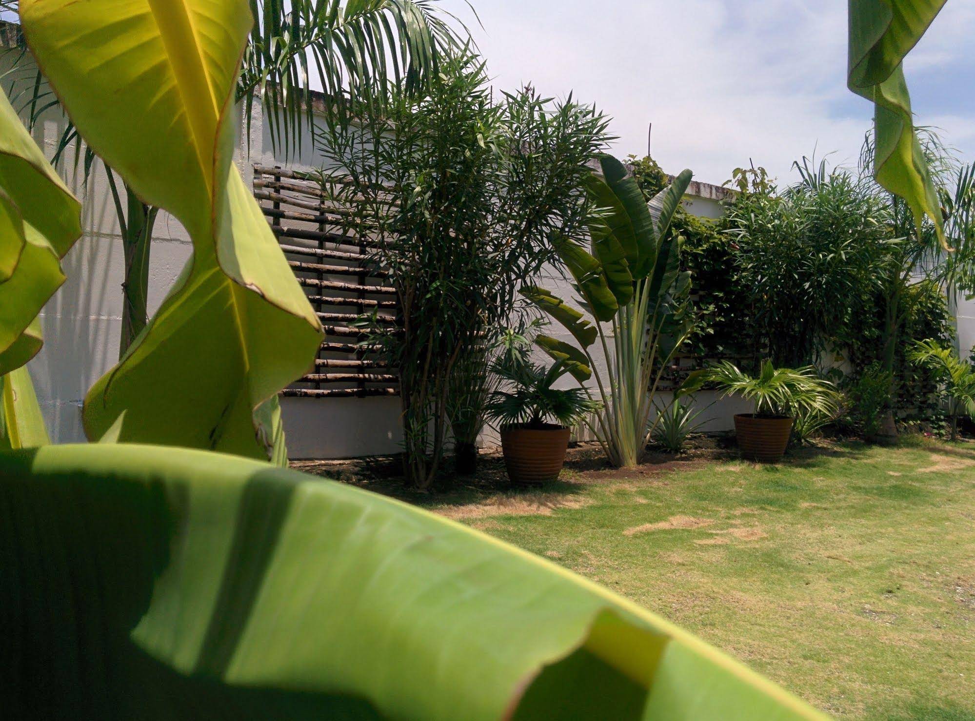 Nayal Lodge