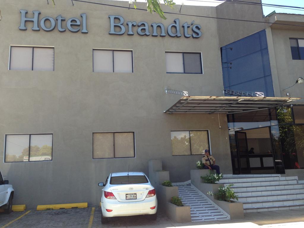 Brandts Ejecutivo Los Robles