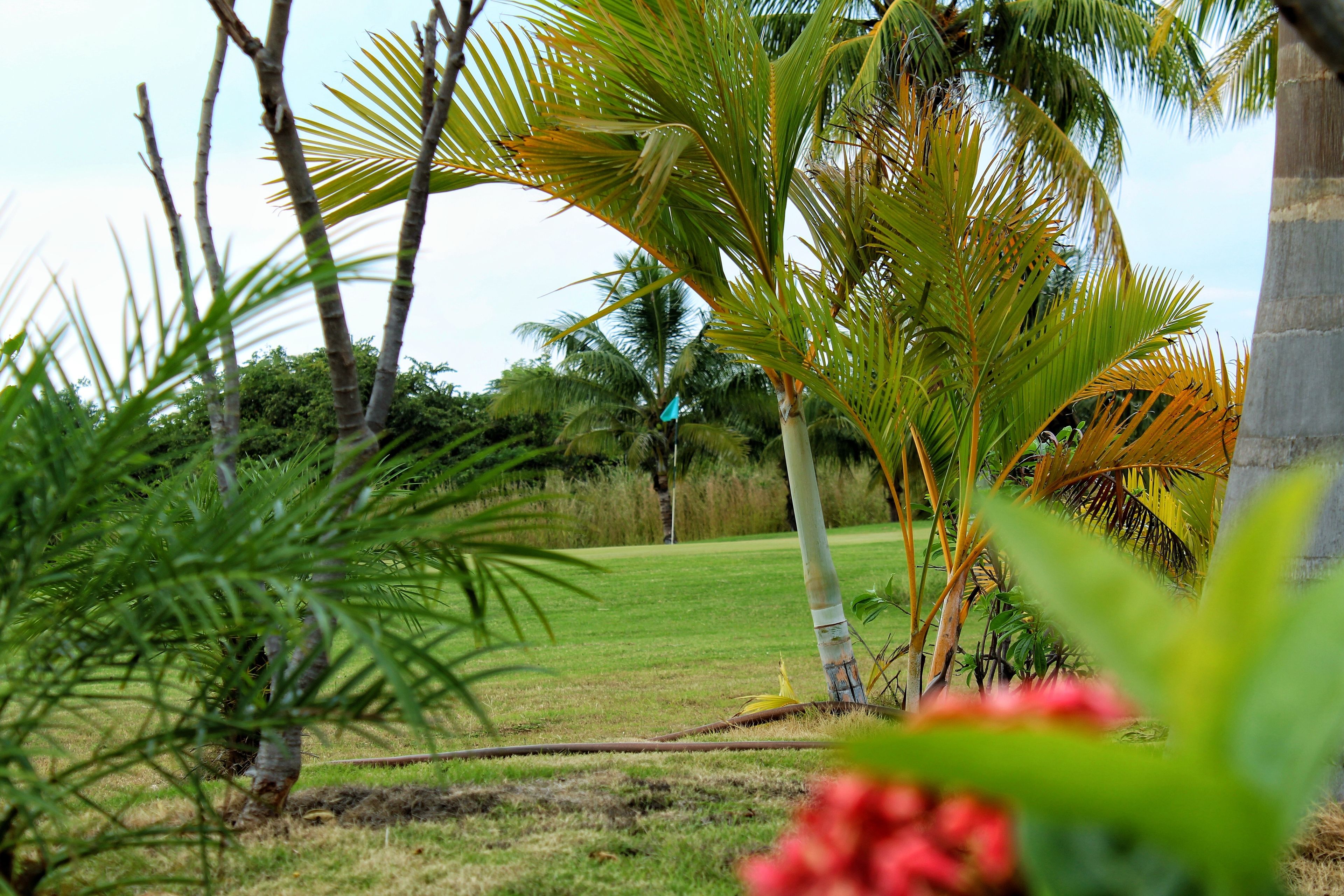 Gran Pacifica Beach and Golf Resort