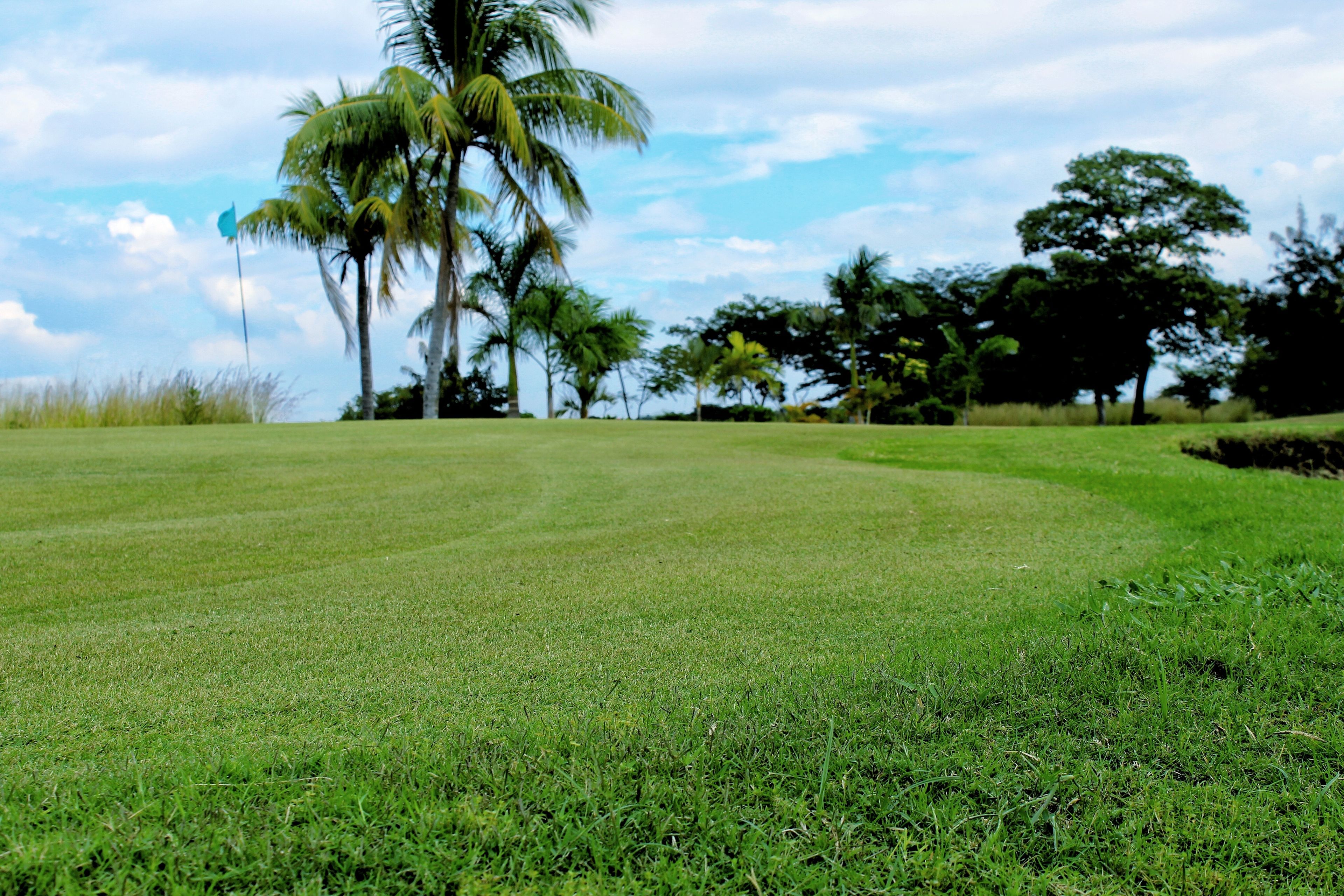 Gran Pacifica Beach and Golf Resort
