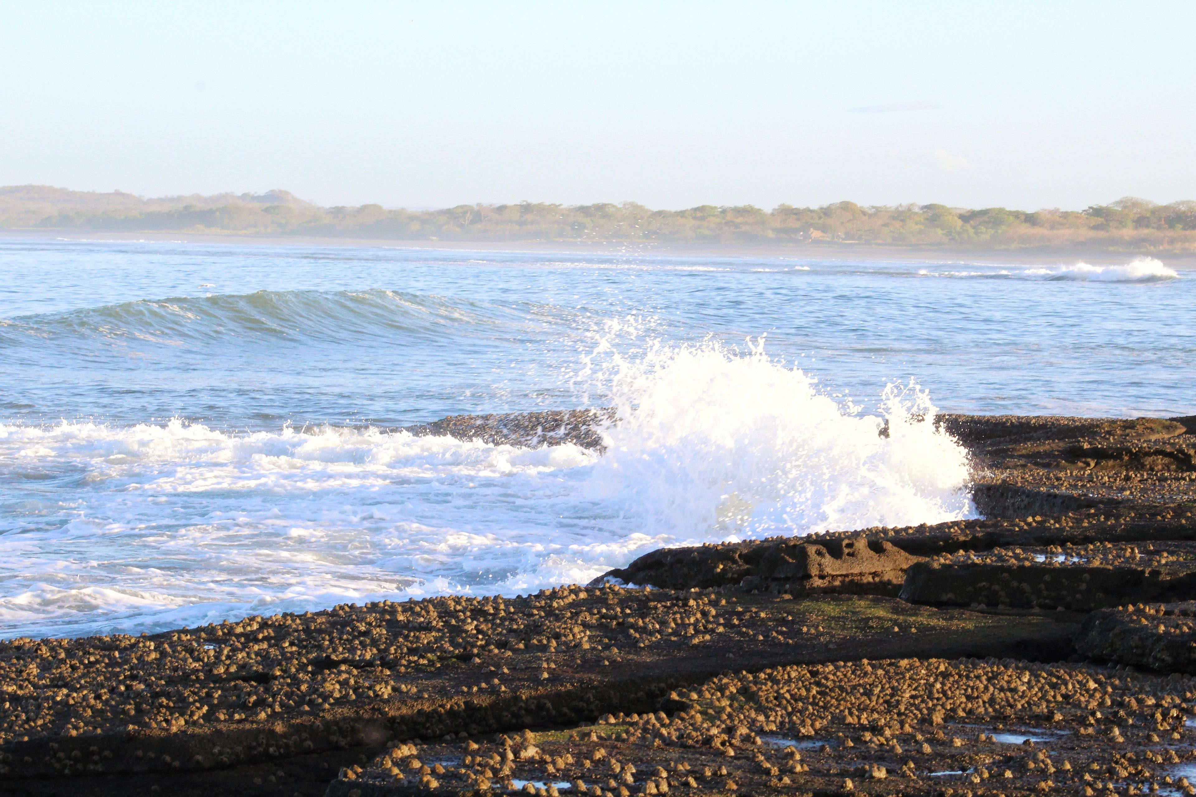 Gran Pacifica Beach and Golf Resort