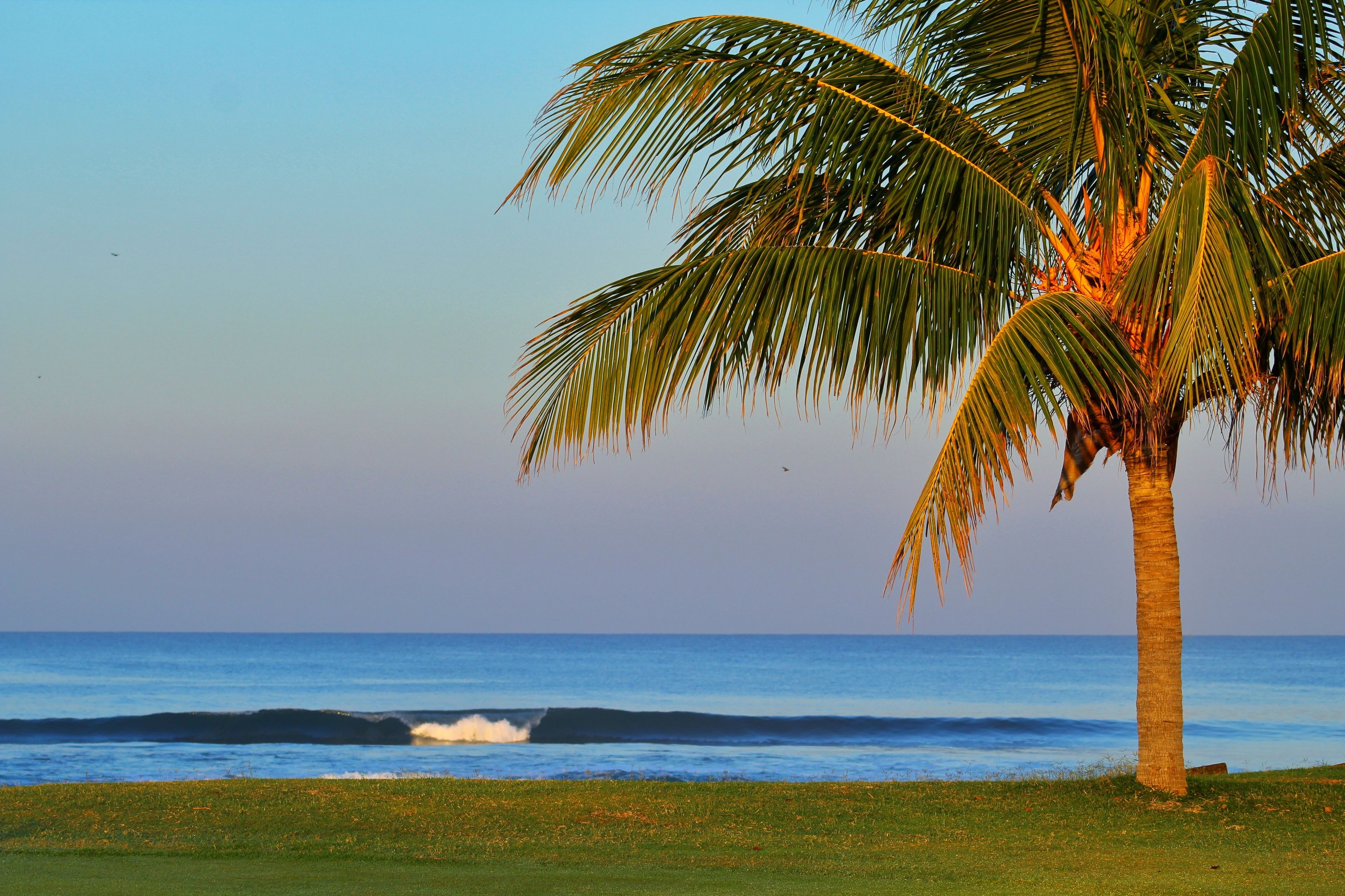 Gran Pacifica Beach and Golf Resort