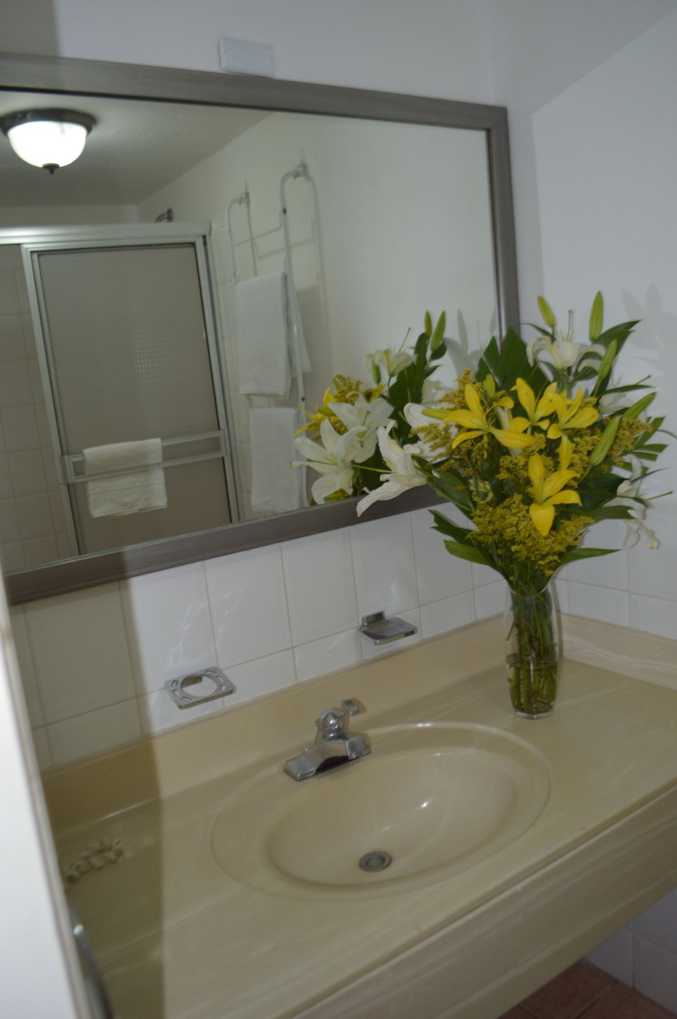 Hotel Casa Real