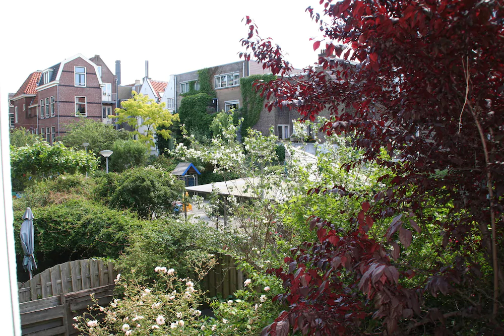 B&B Jordaan