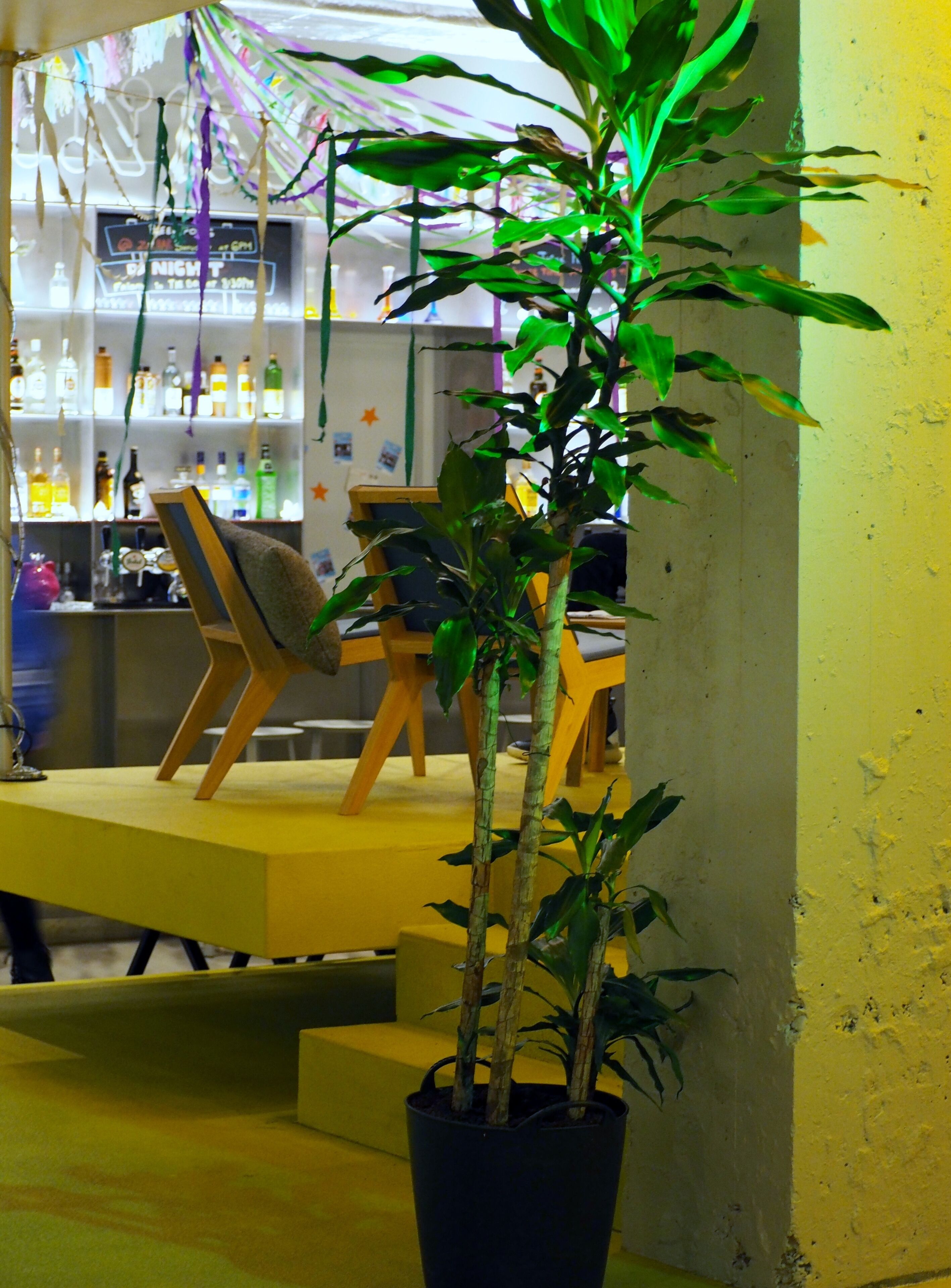 Clink Noord Hostel