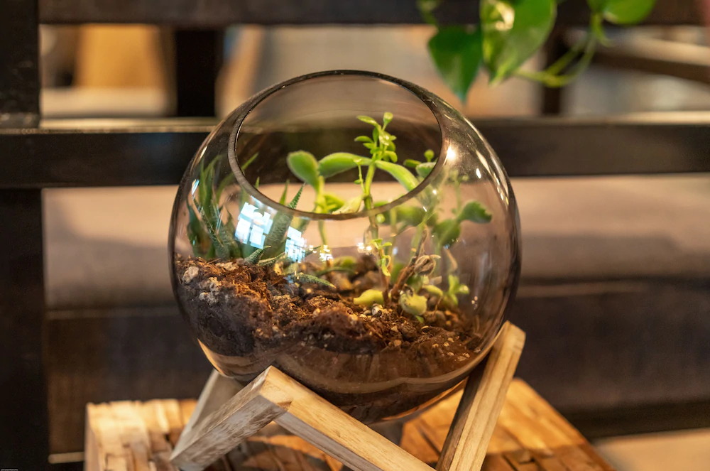 Four Elements Hotel Amsterdam