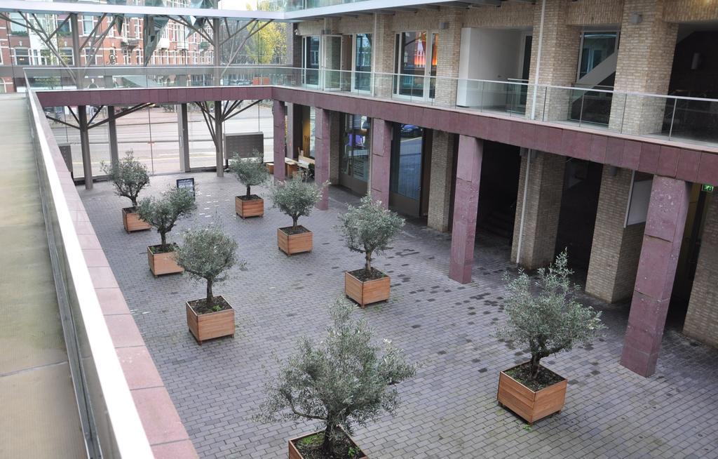 Hotel Mosaic