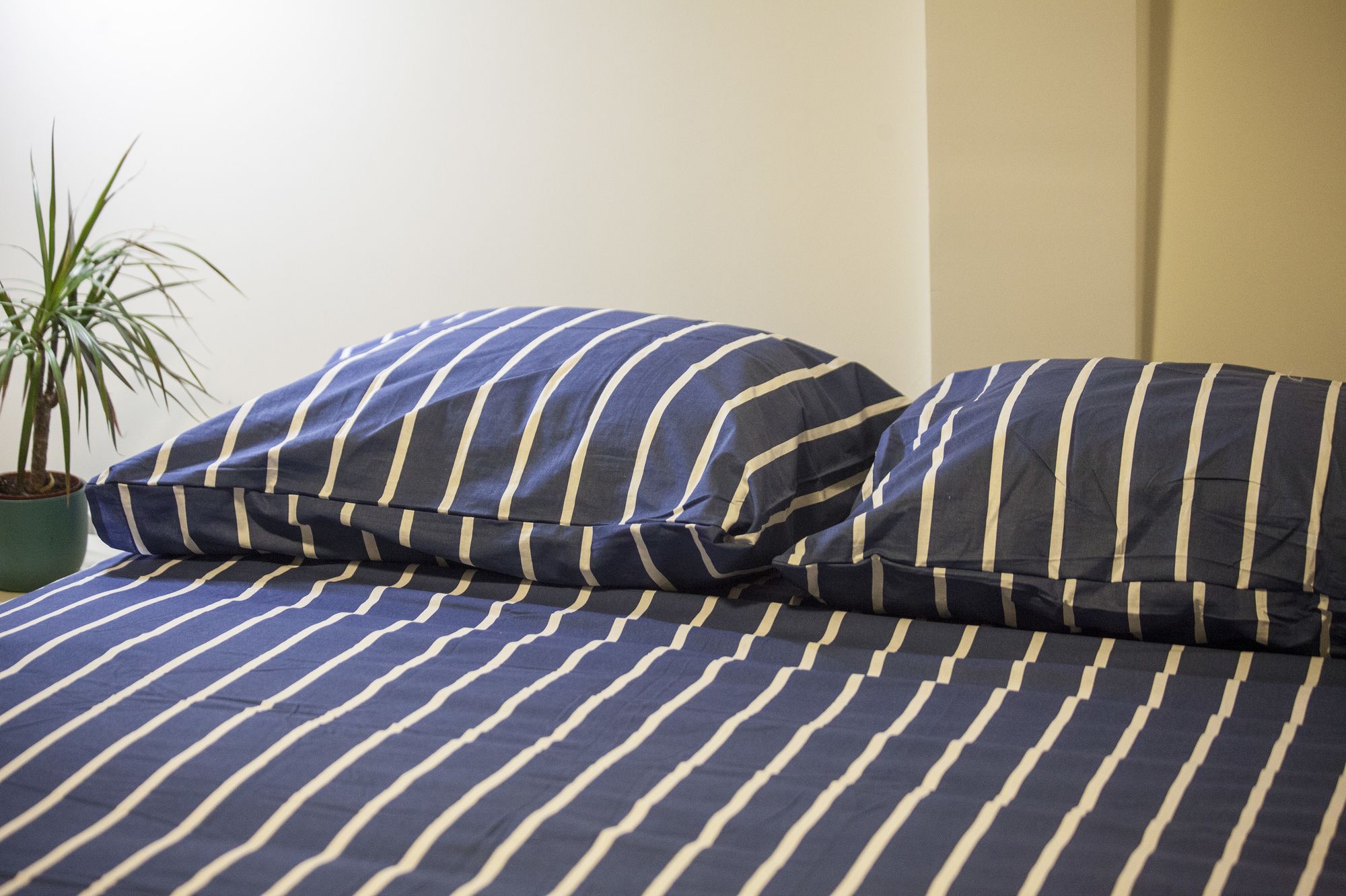 Kuwadro B&B Amsterdam Jordaan