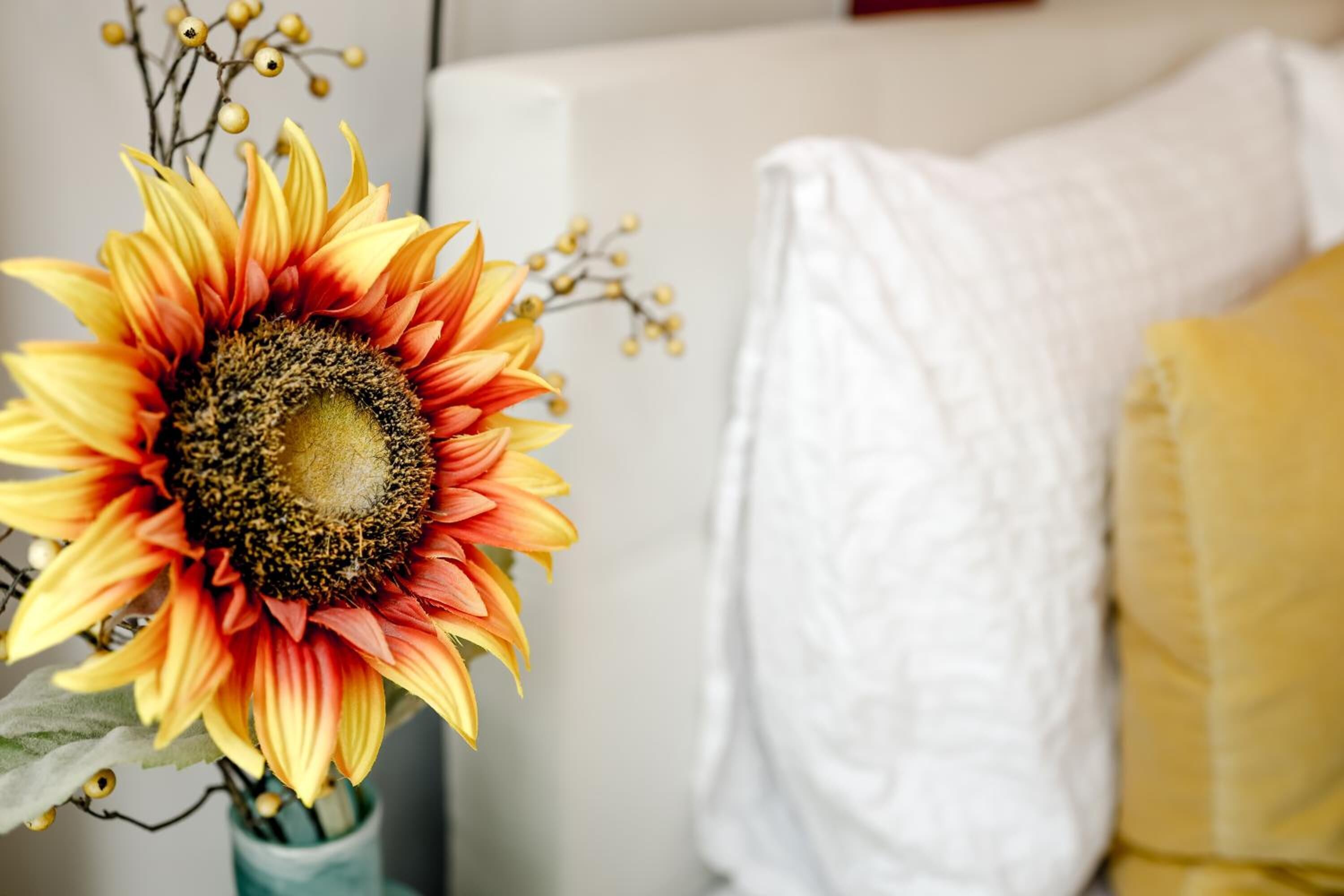 Sunflower B&B Amsterdam