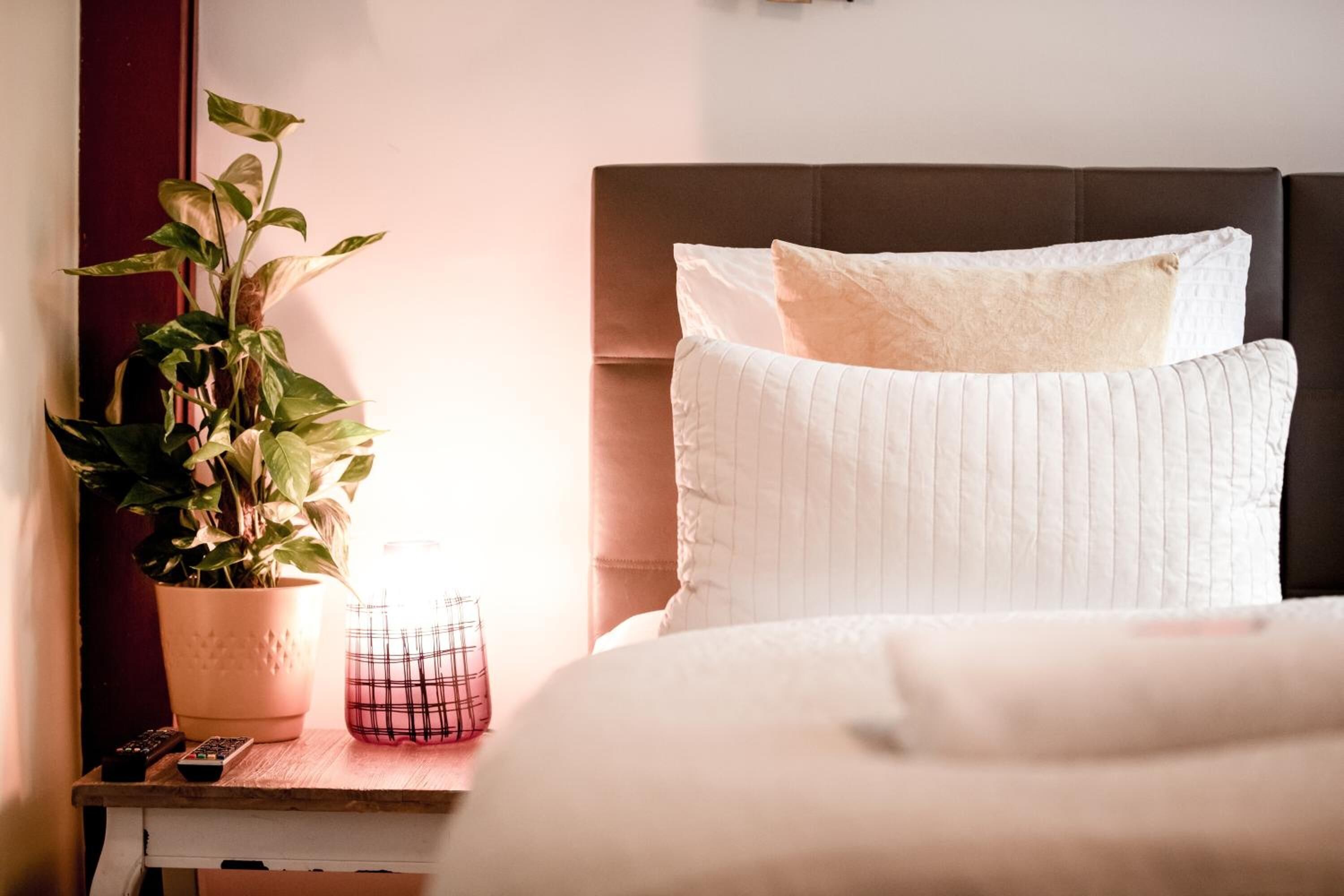 Sunflower B&B Amsterdam