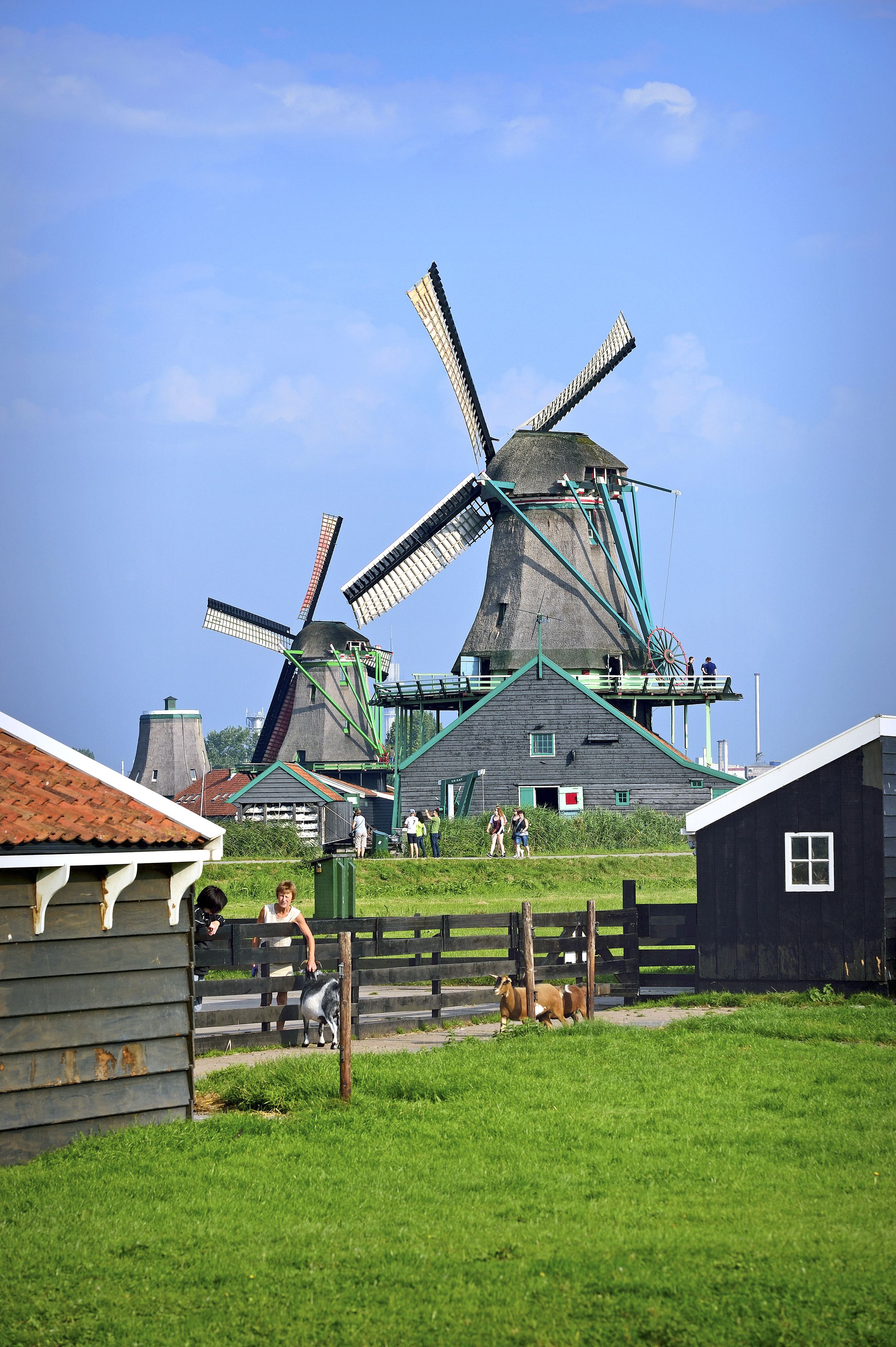 Best Western Zaan Inn