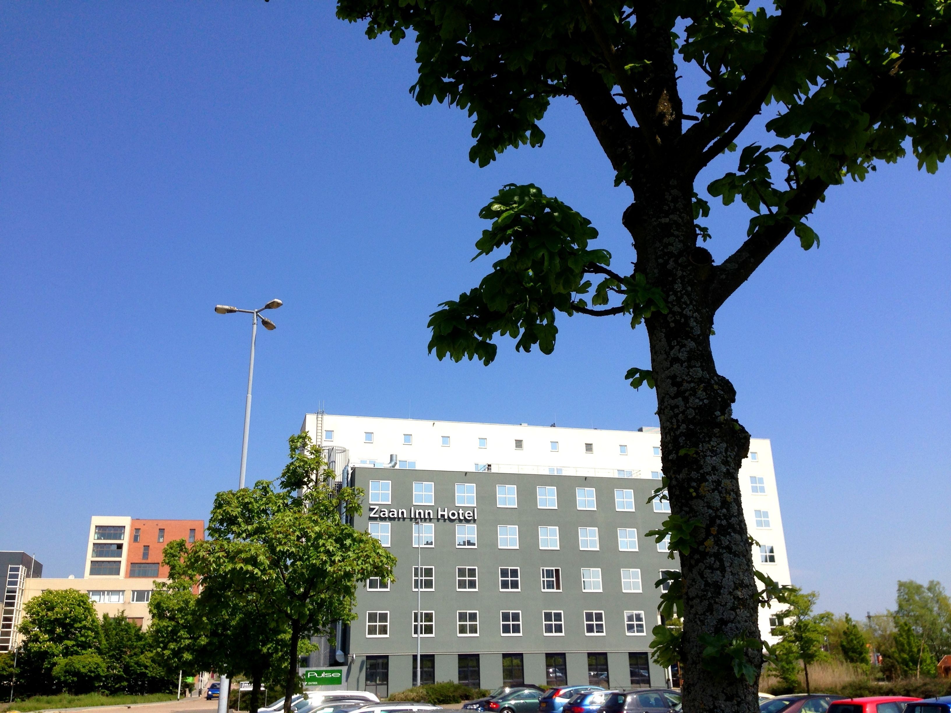 Best Western Zaan Inn