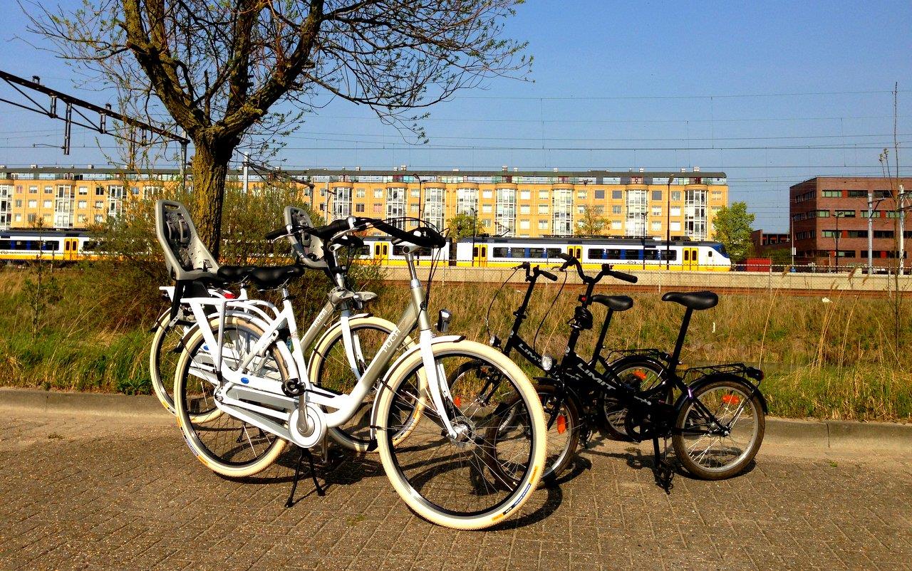 Best Western Zaan Inn