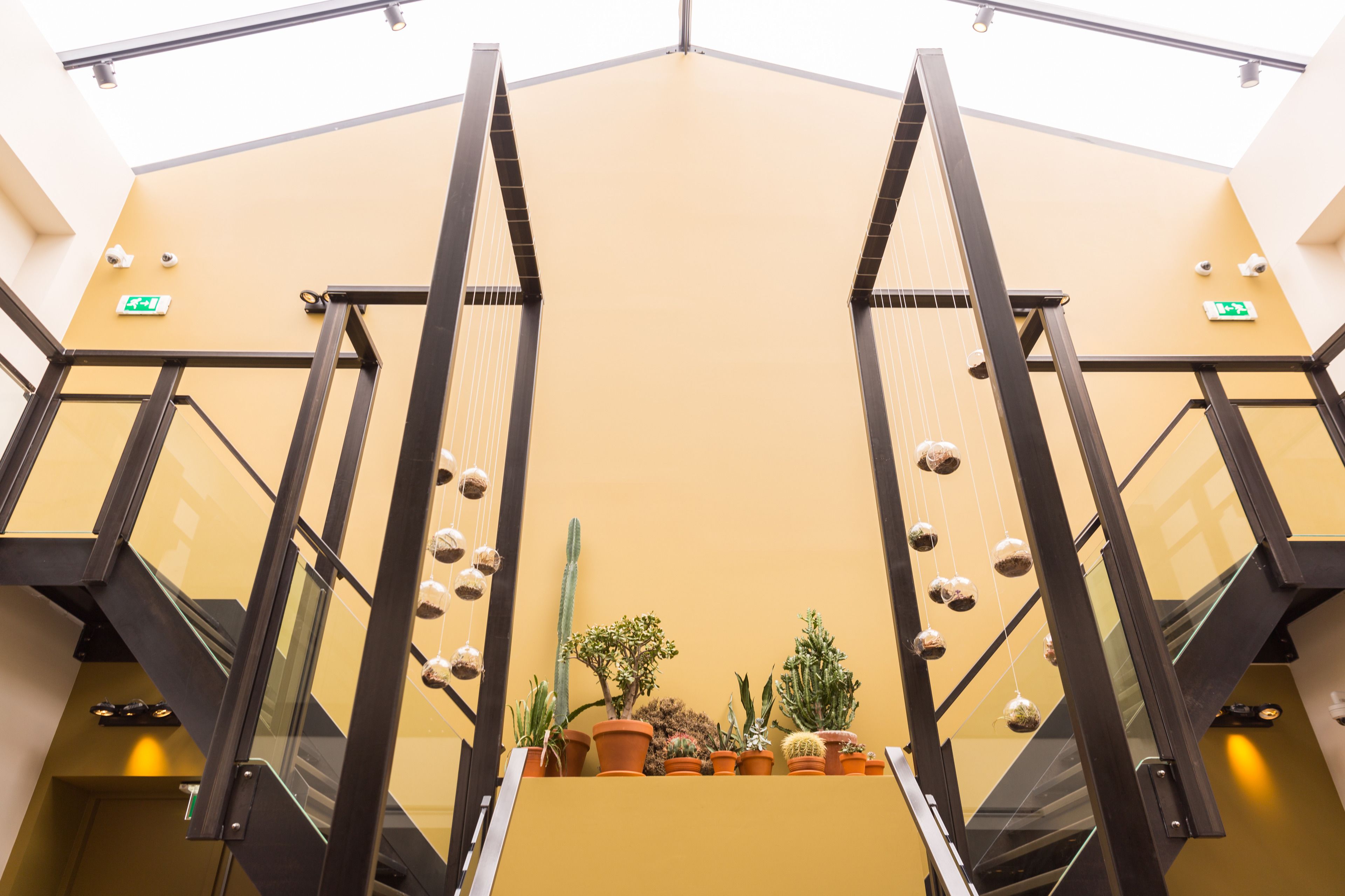 Manzo Suites