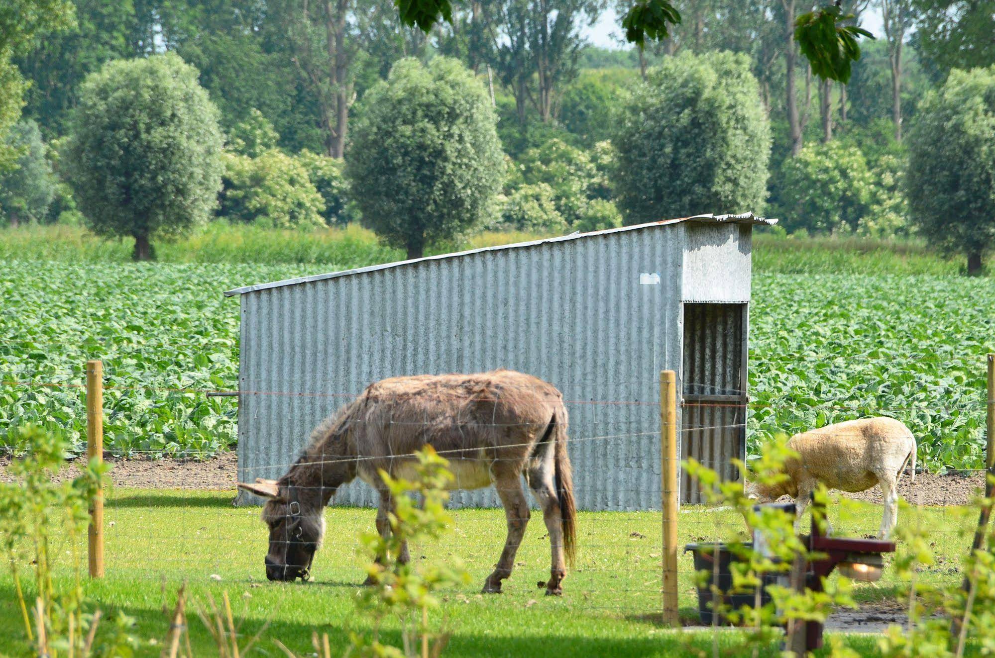 Lodgerie het Groene Geheim