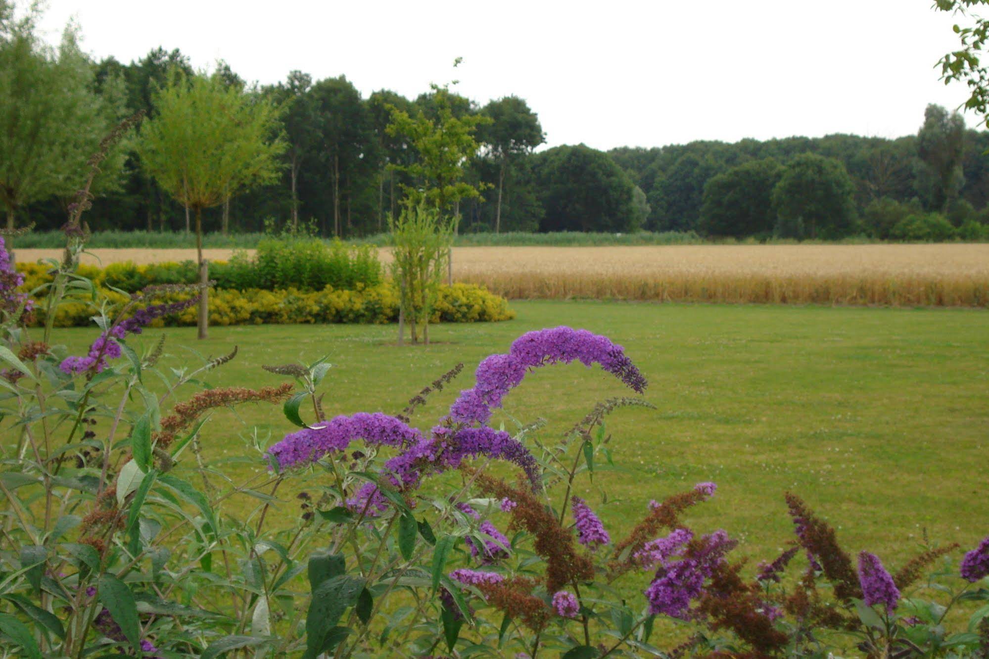 Lodgerie het Groene Geheim