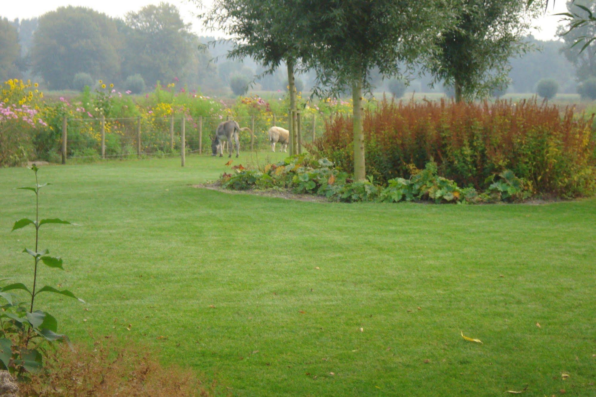 Lodgerie het Groene Geheim