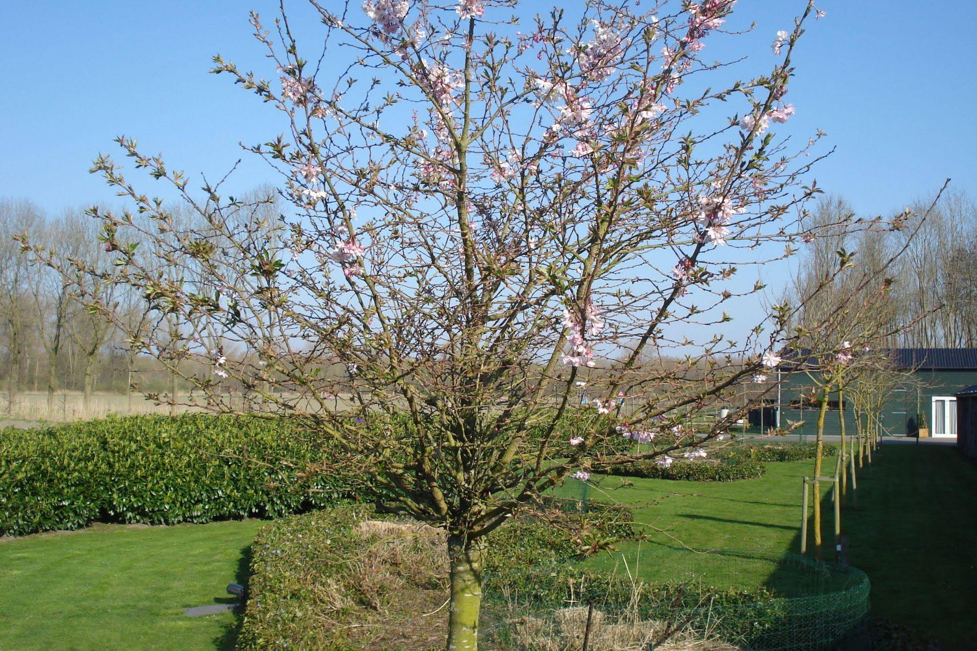 Lodgerie het Groene Geheim