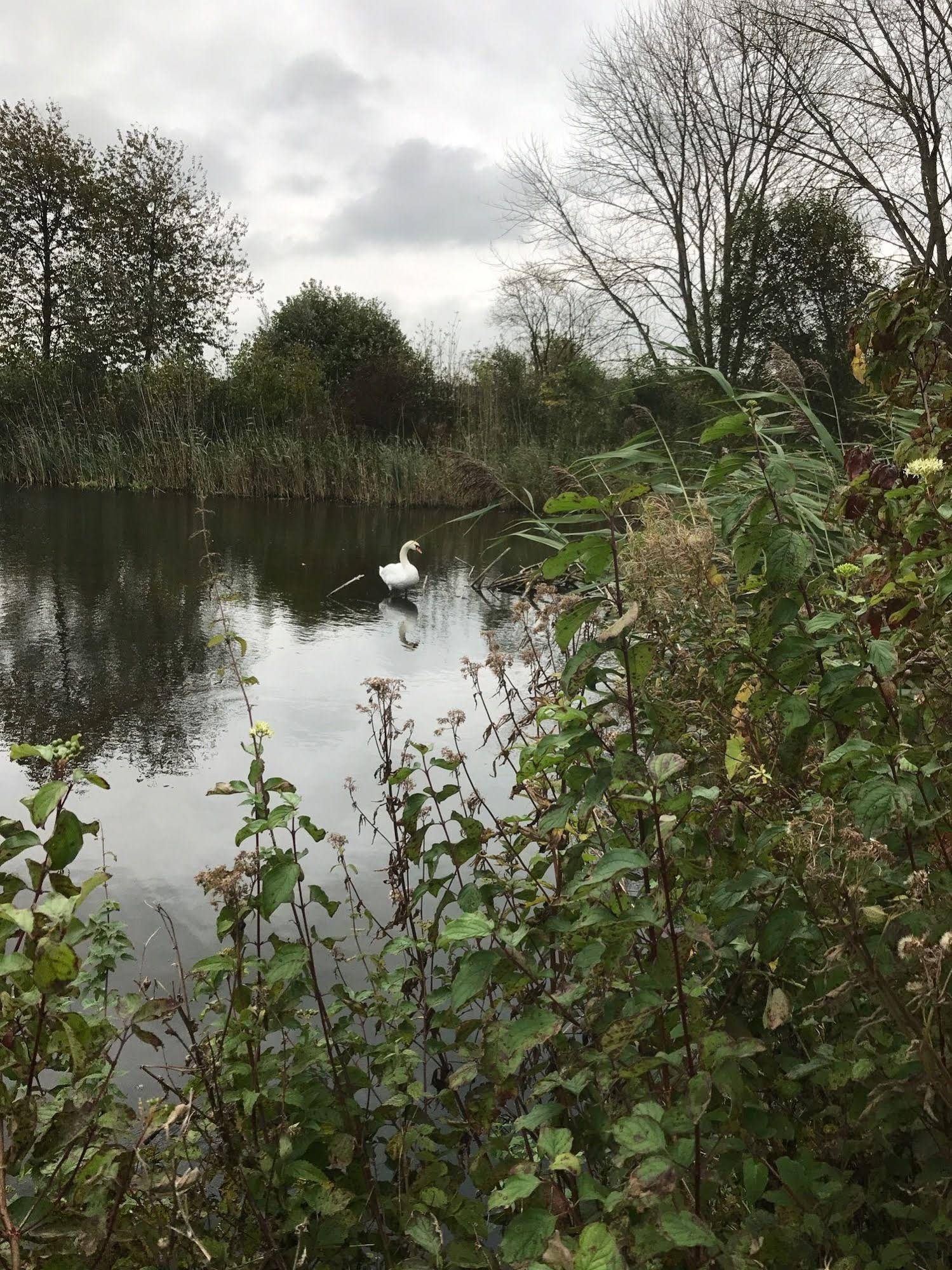 Lodgerie het Groene Geheim