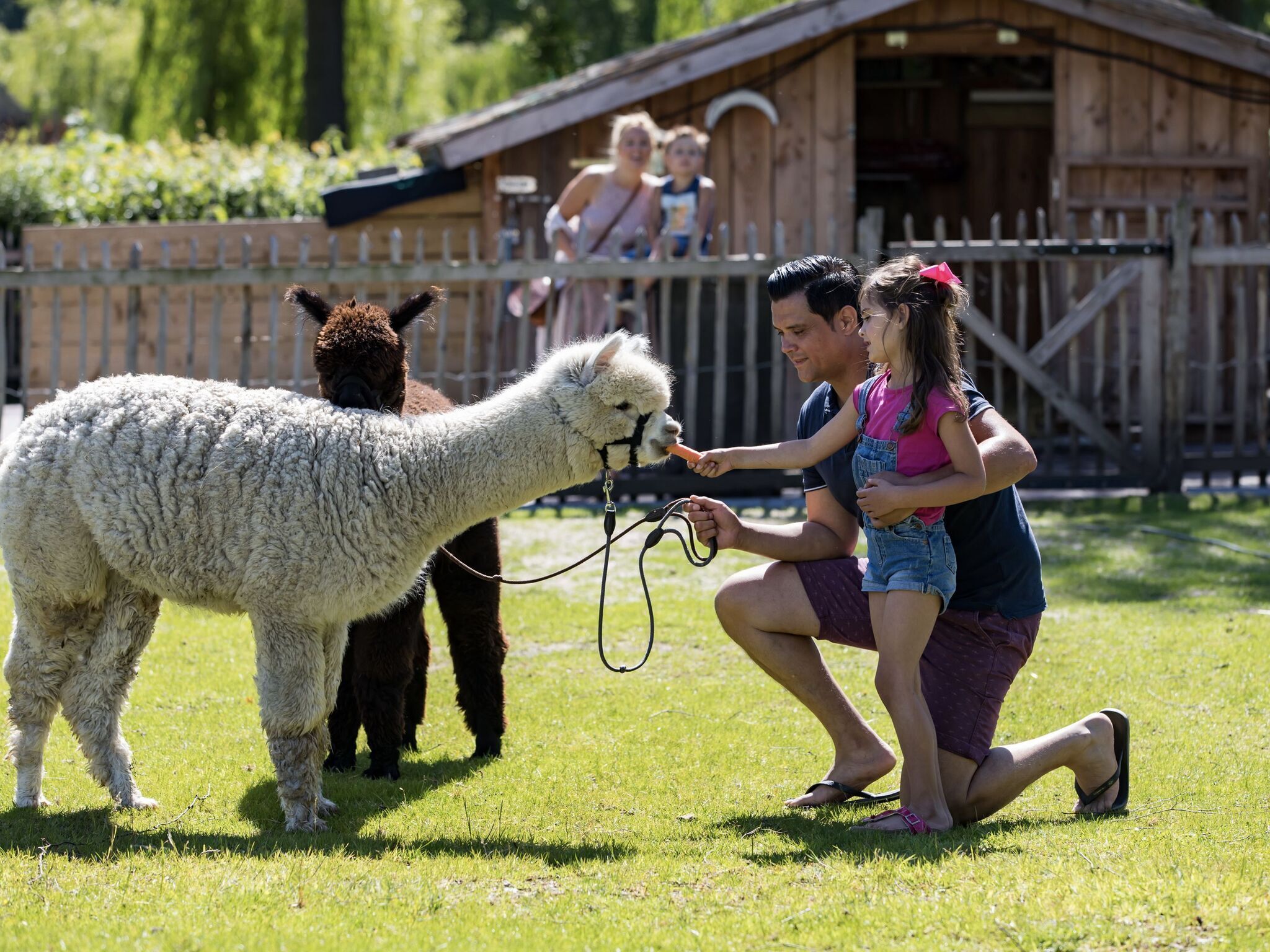 EuroParcs Zuiderzee - Chalets