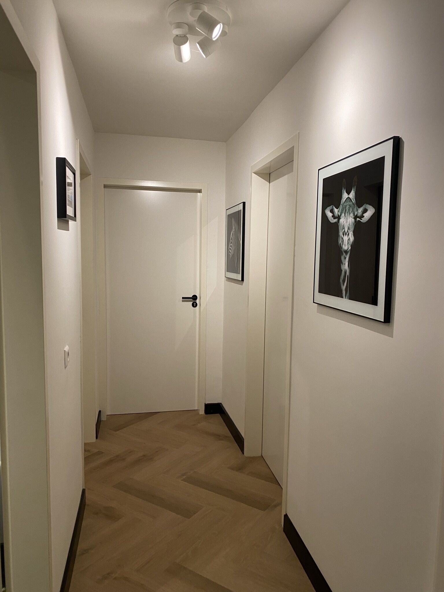 Sammys Lodge