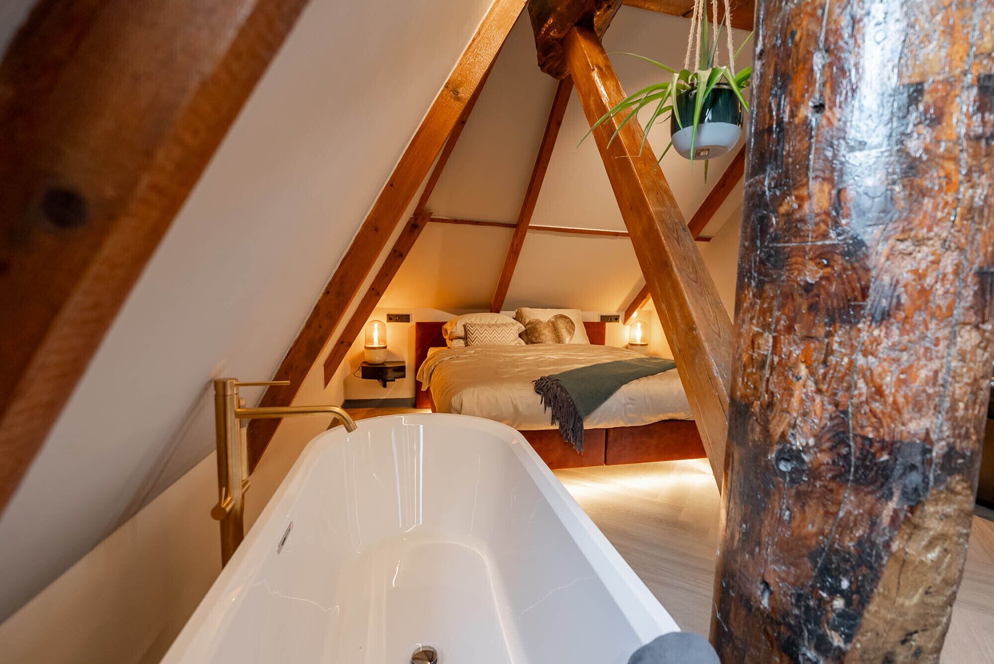 Boetiekhotel Faan