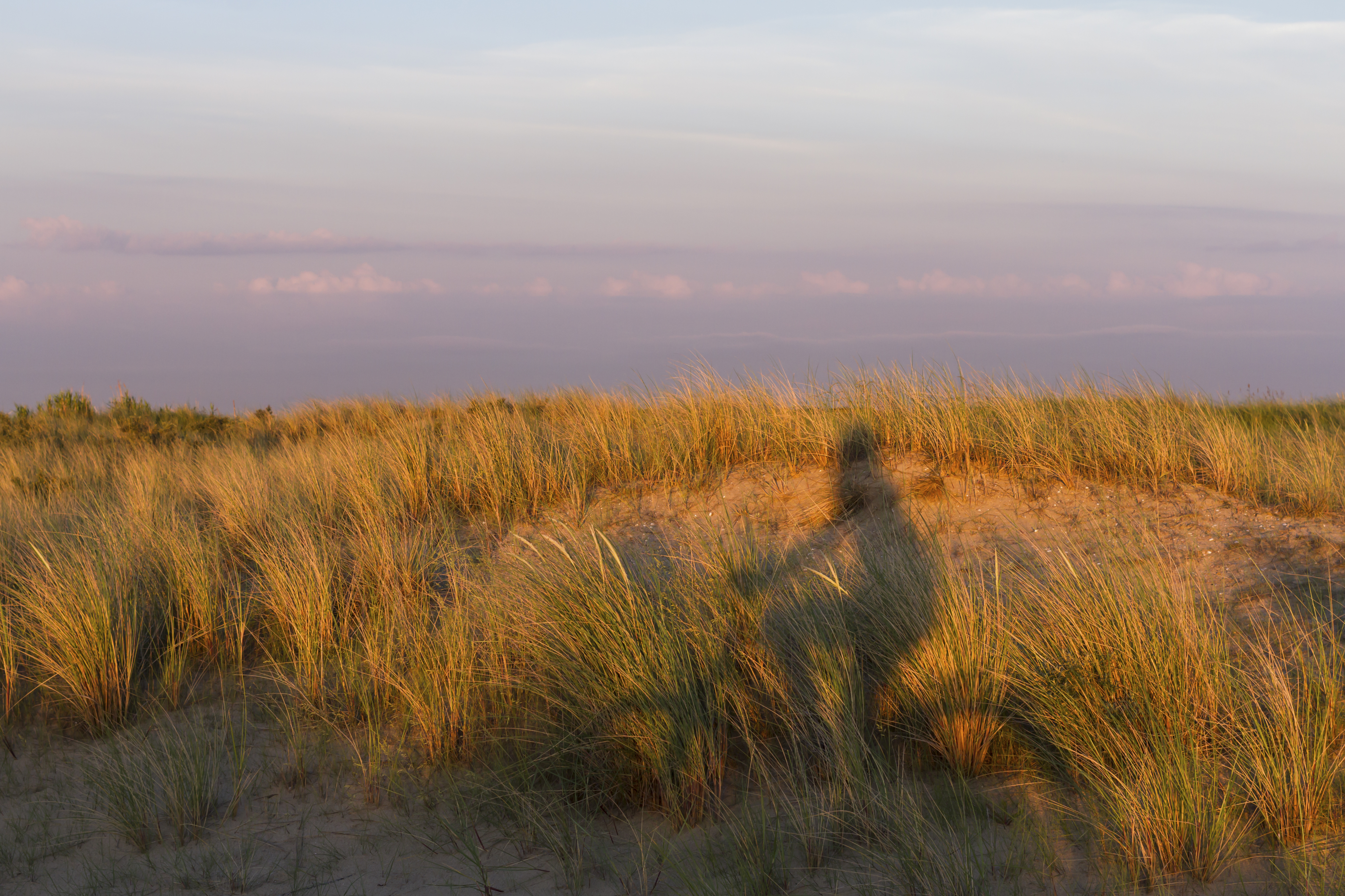 WestCord Hotel de Wadden