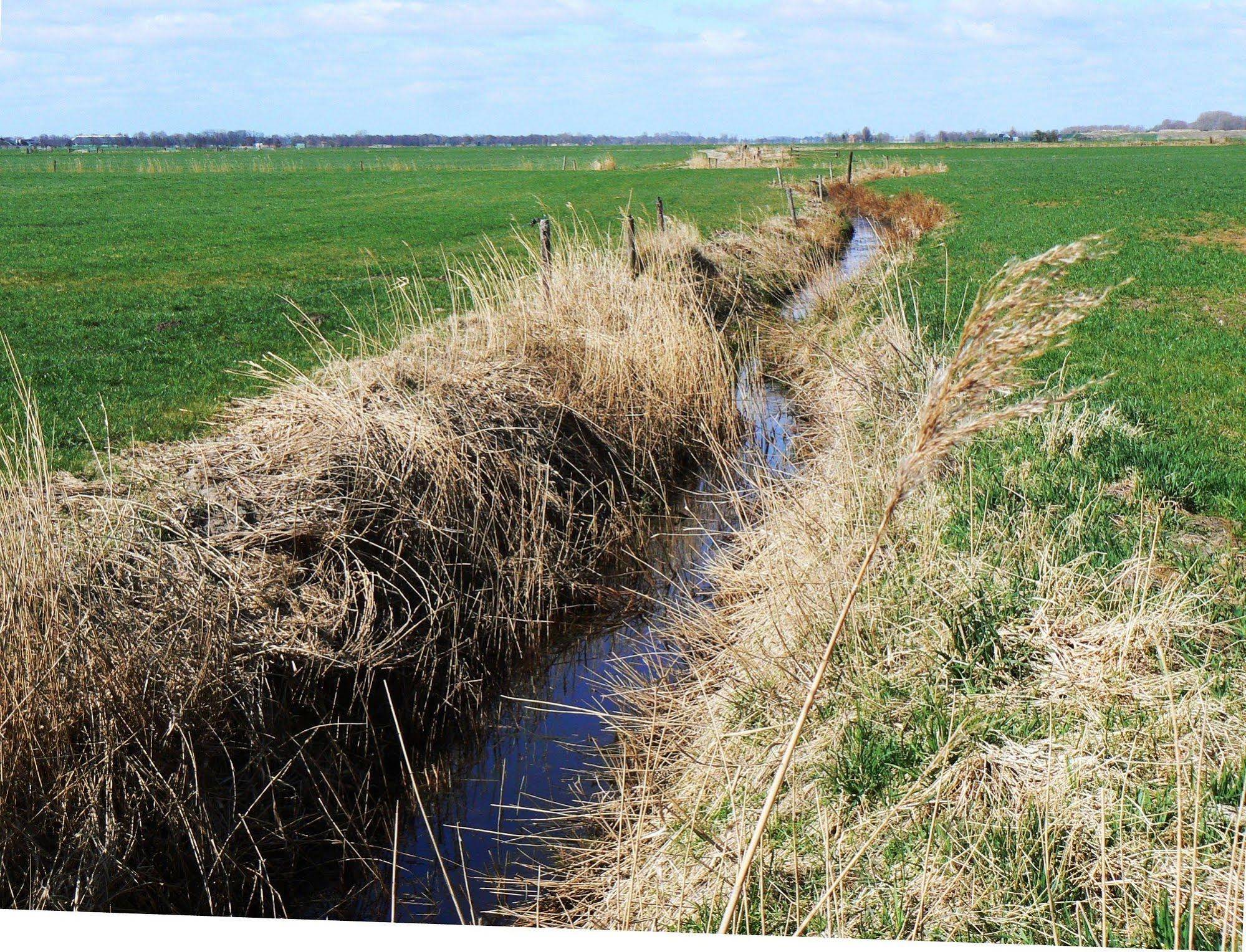 Groningen Buiten B&B