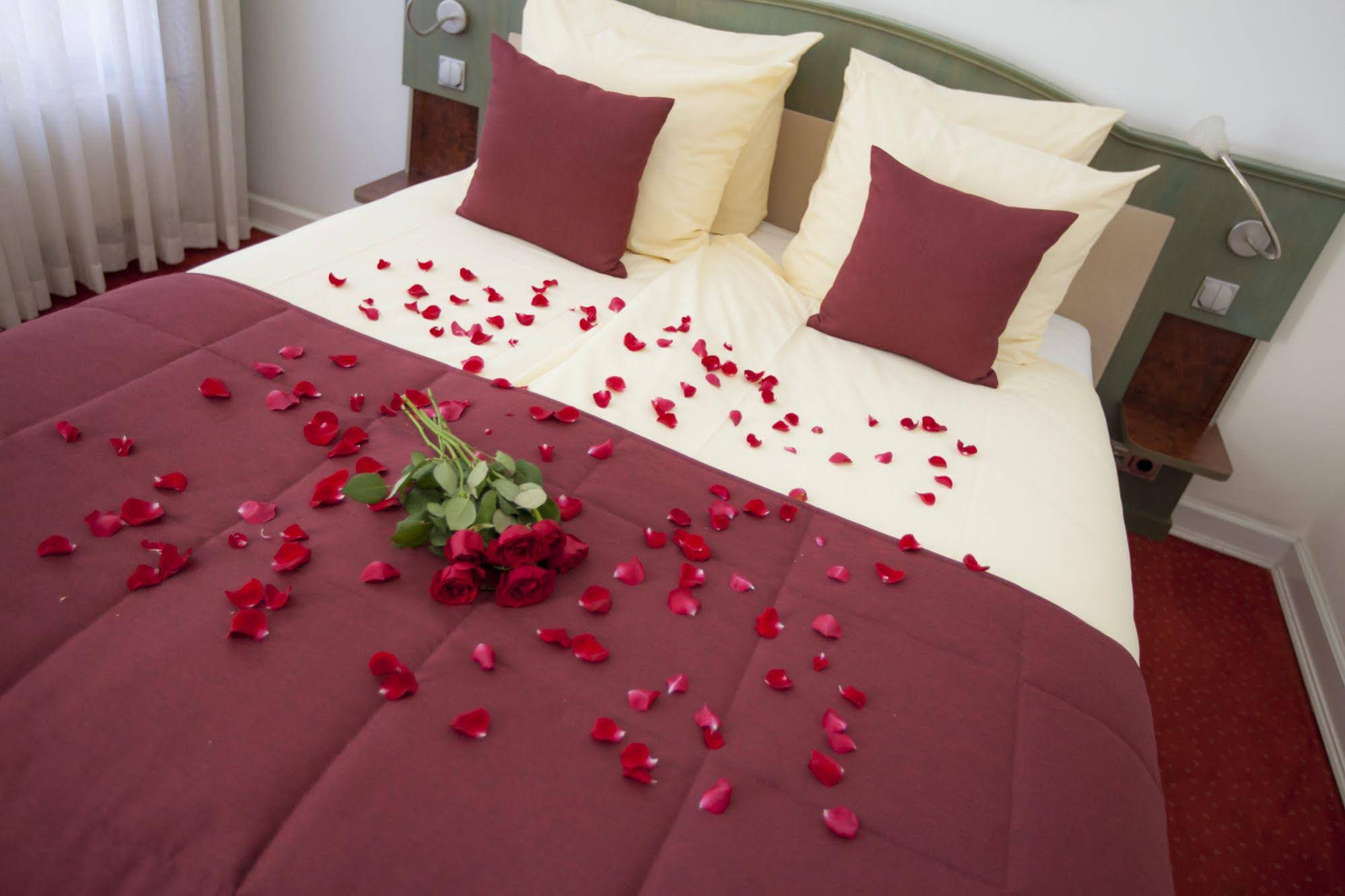 Fitz-Roy Urban Hotel Bar And Garden