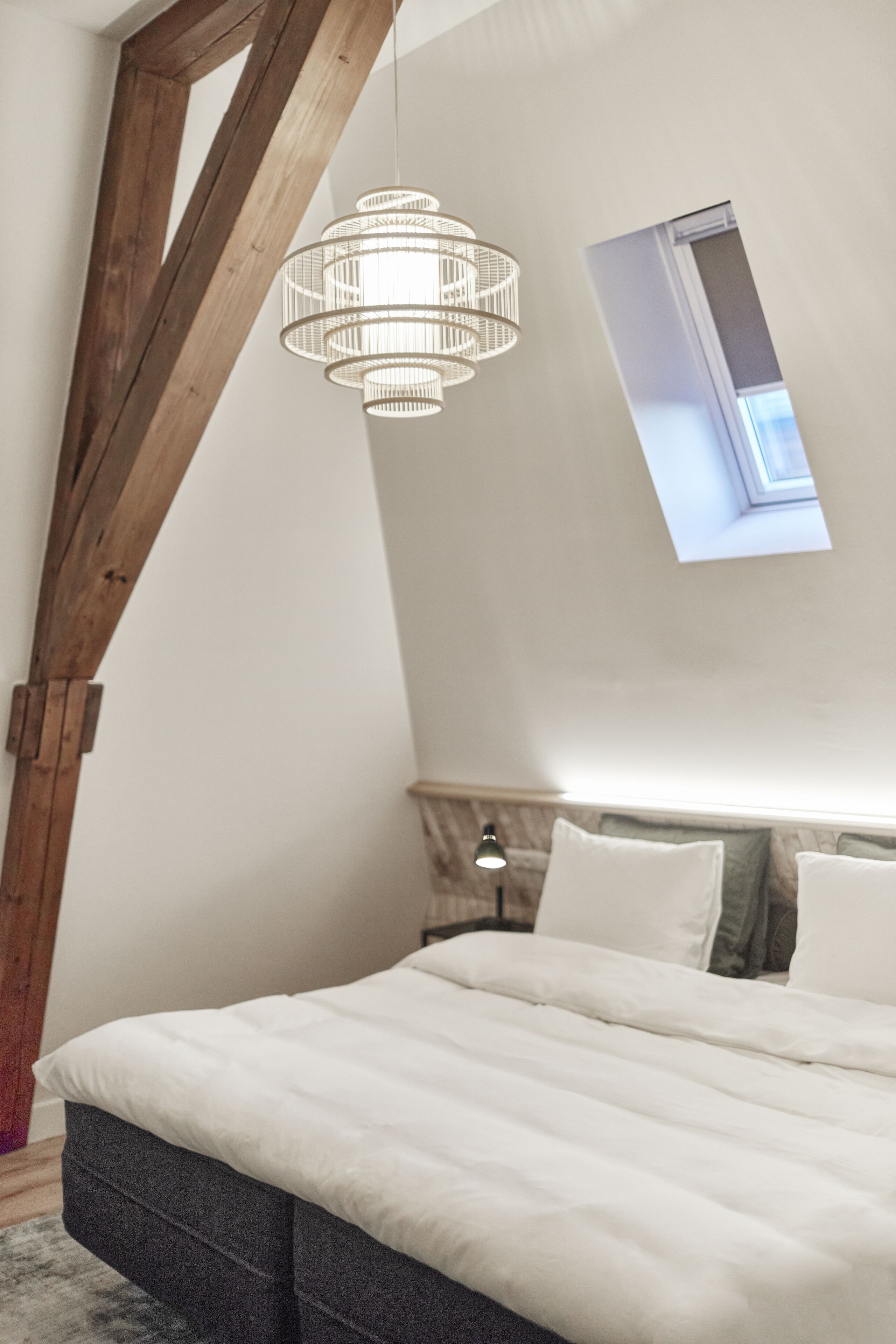 Hotel Botanique