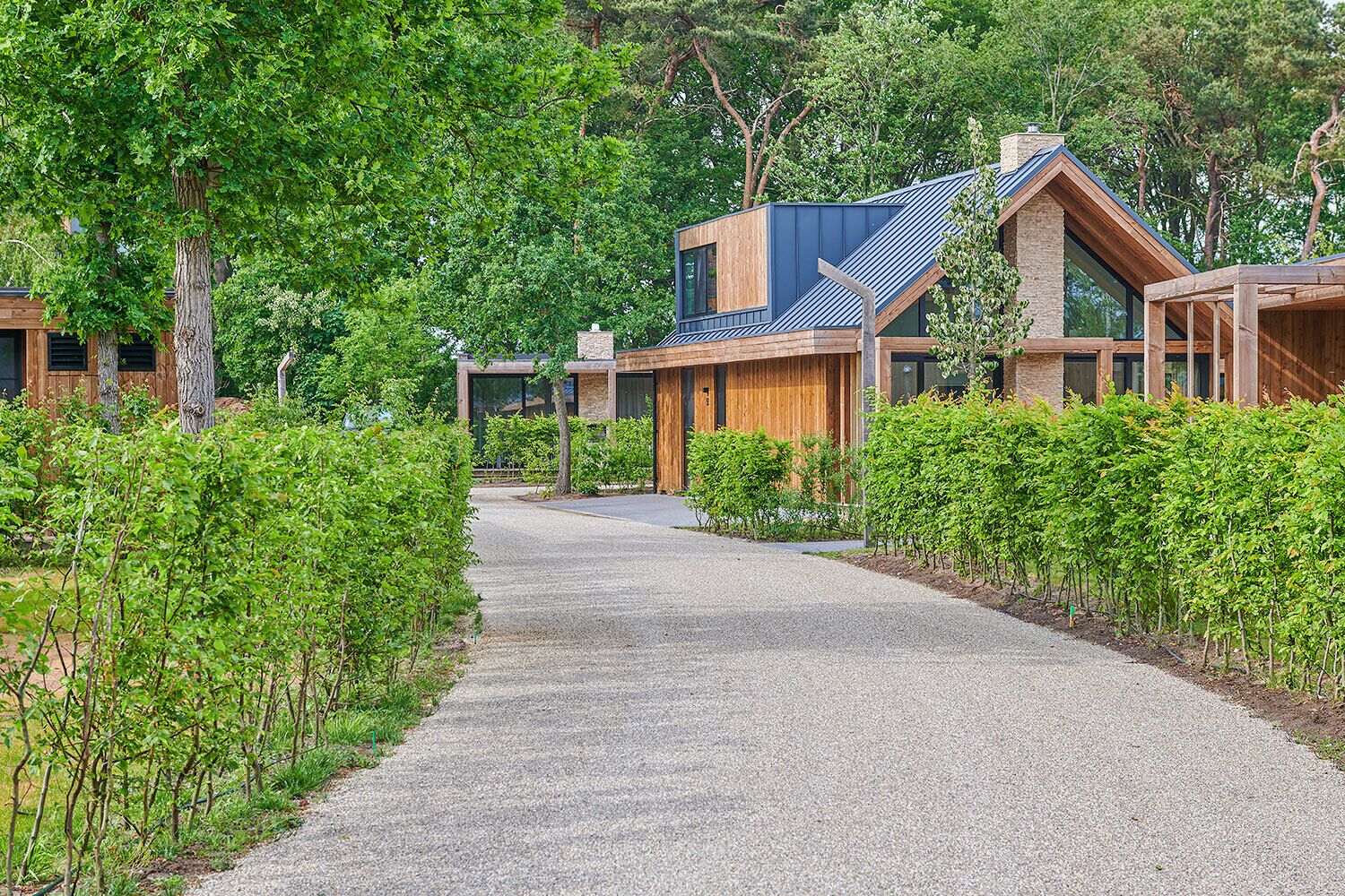 Bergvliet Villa's