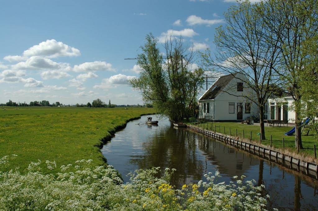 Amsterdam Farmland