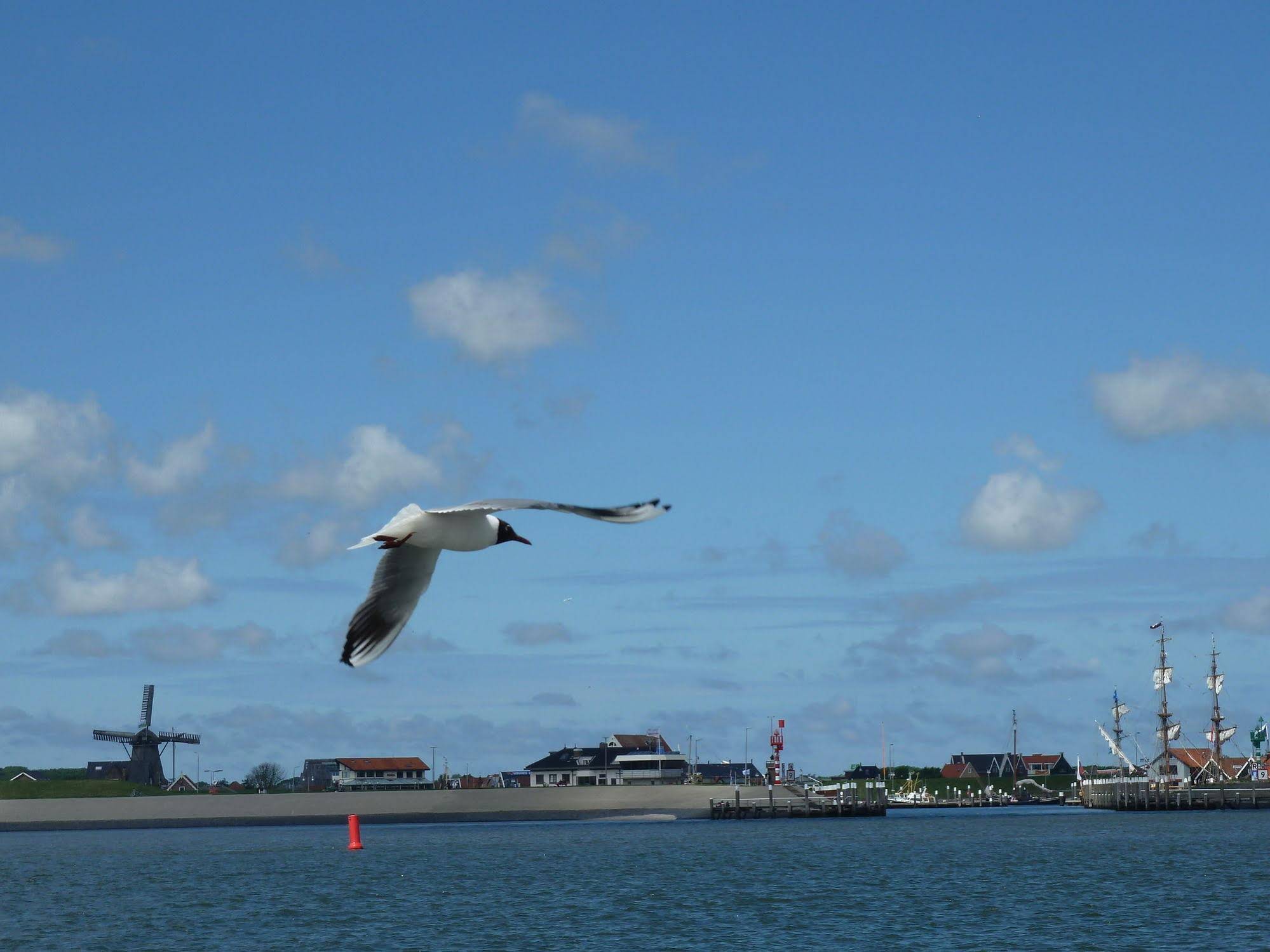 At Sea