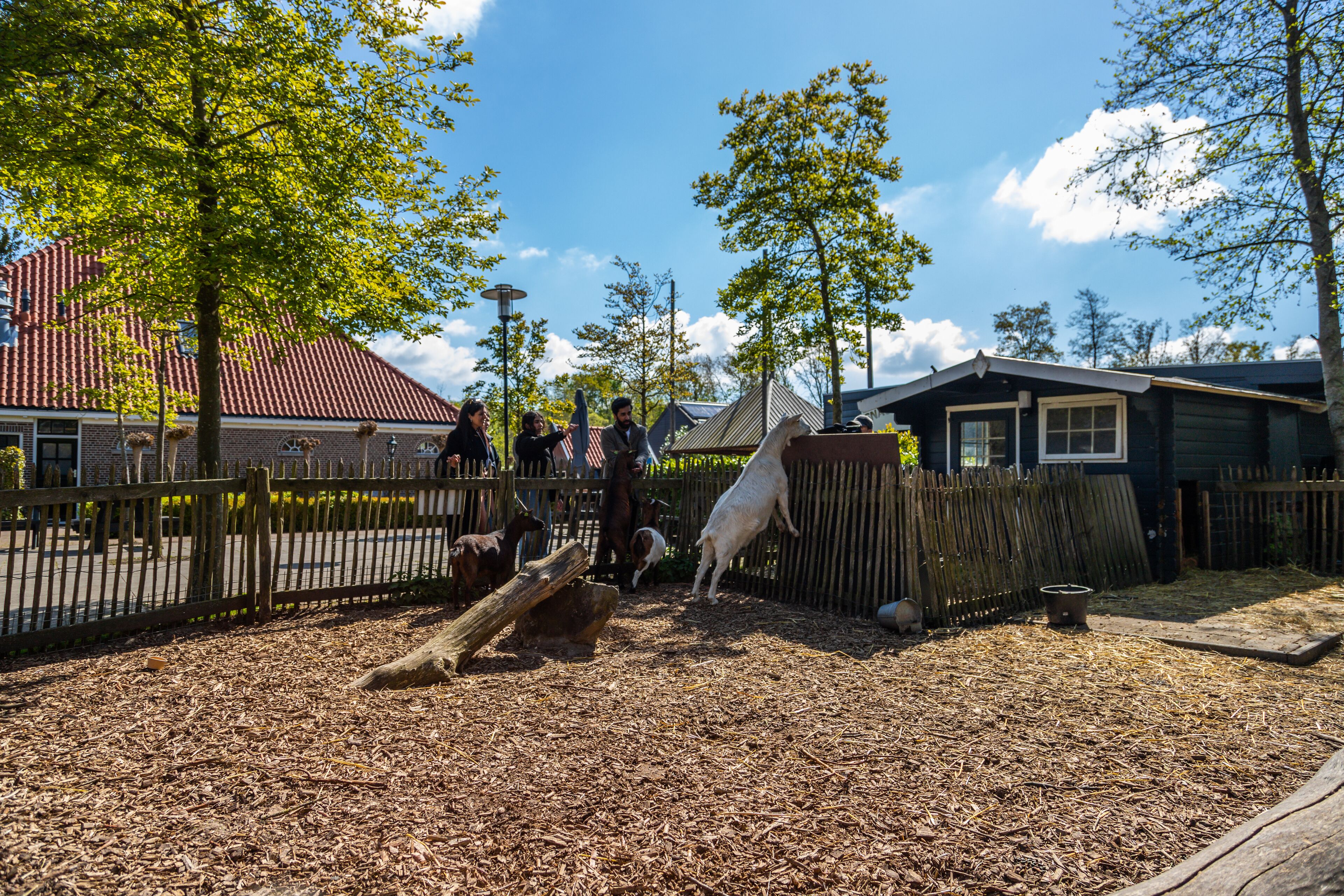 EuroParcs Buitenhuizen