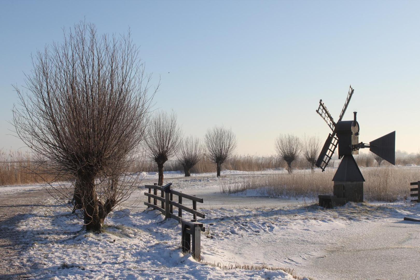 Saenliefde