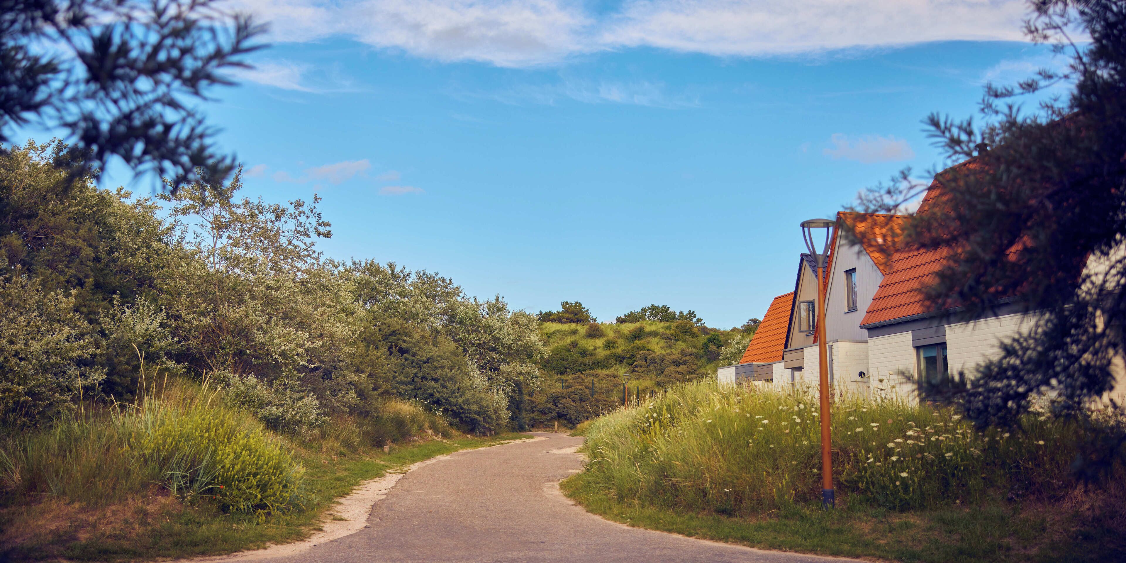 Center Parcs Park Zandvoort Cottages
