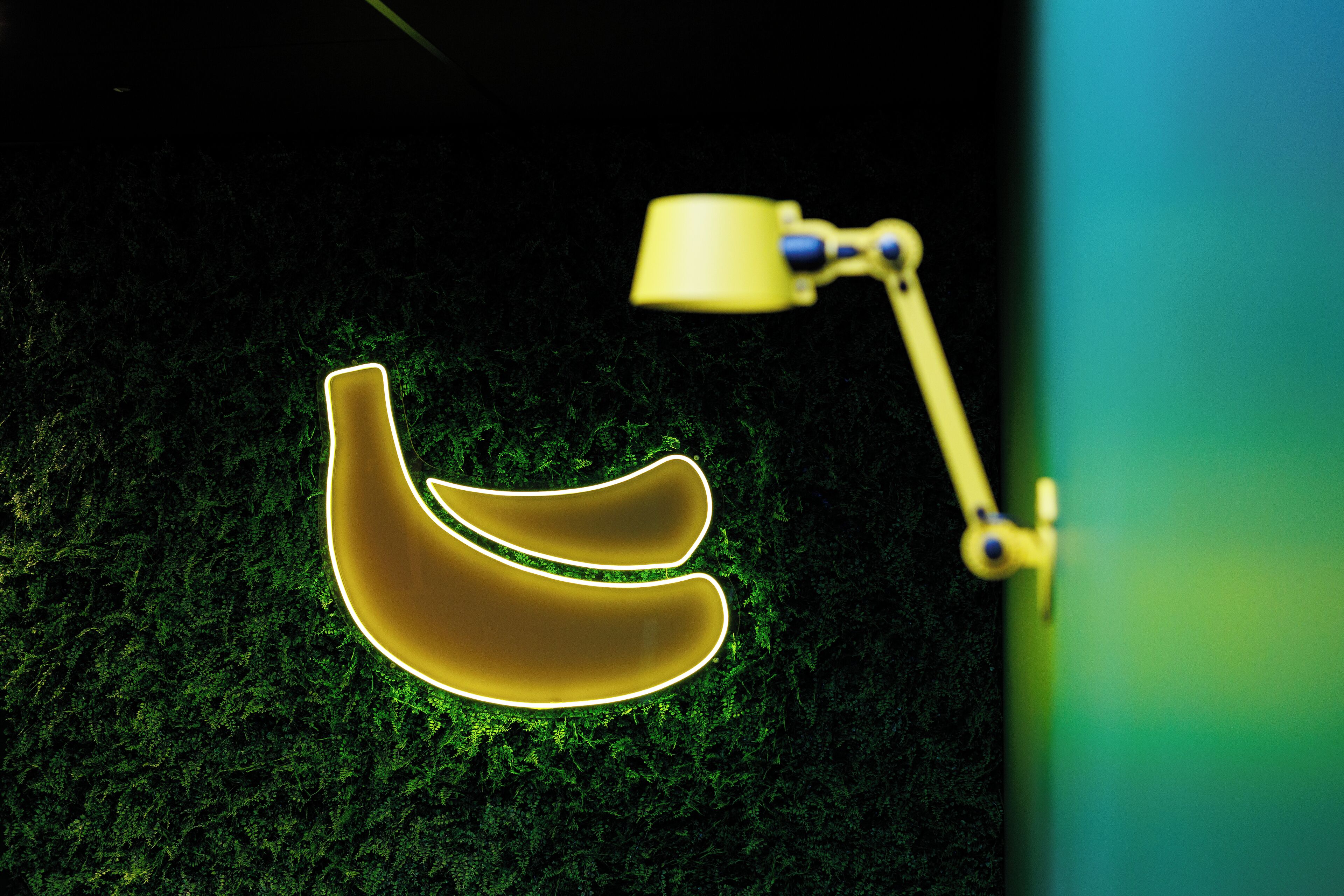 Little Monkey Hostel