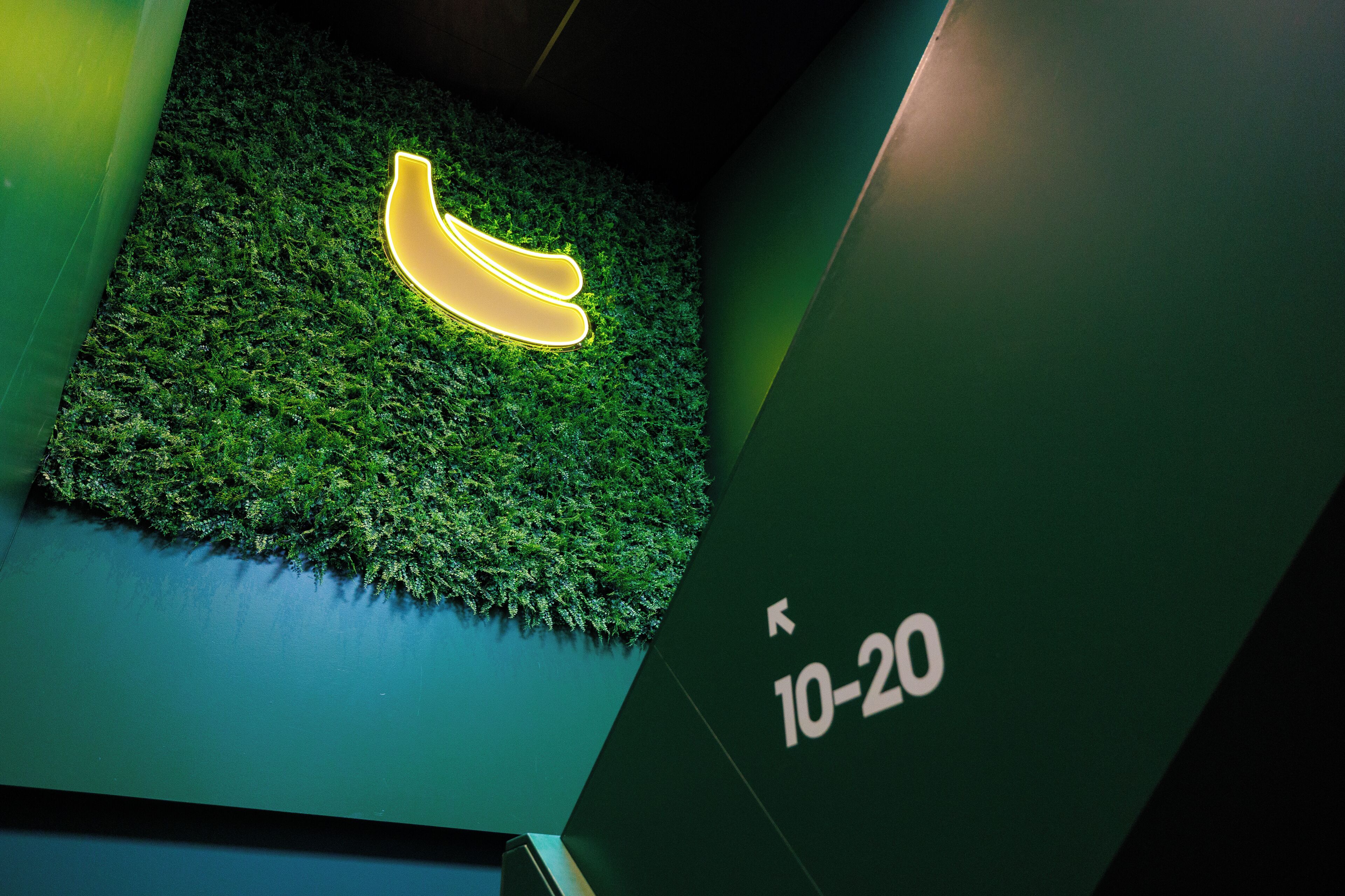 Little Monkey Hostel