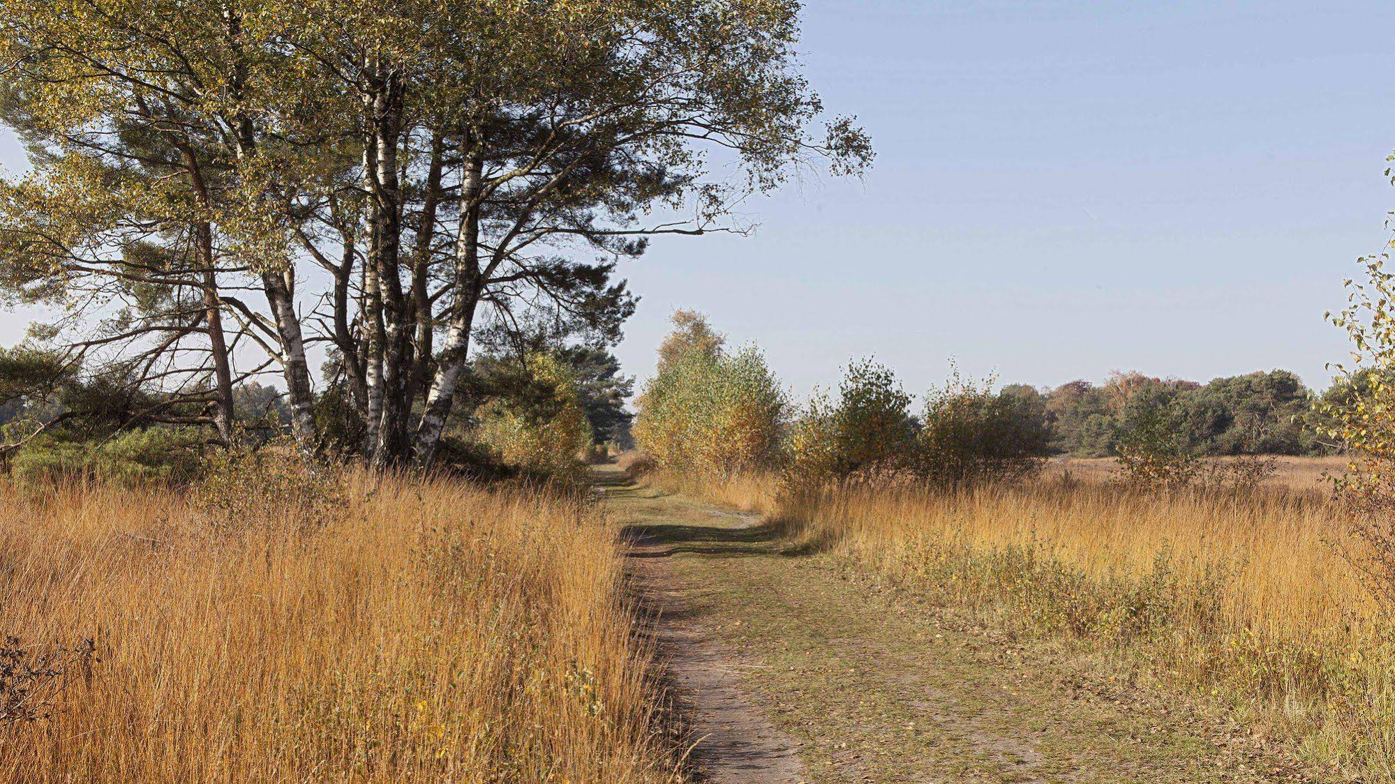 Hoeve Springendal