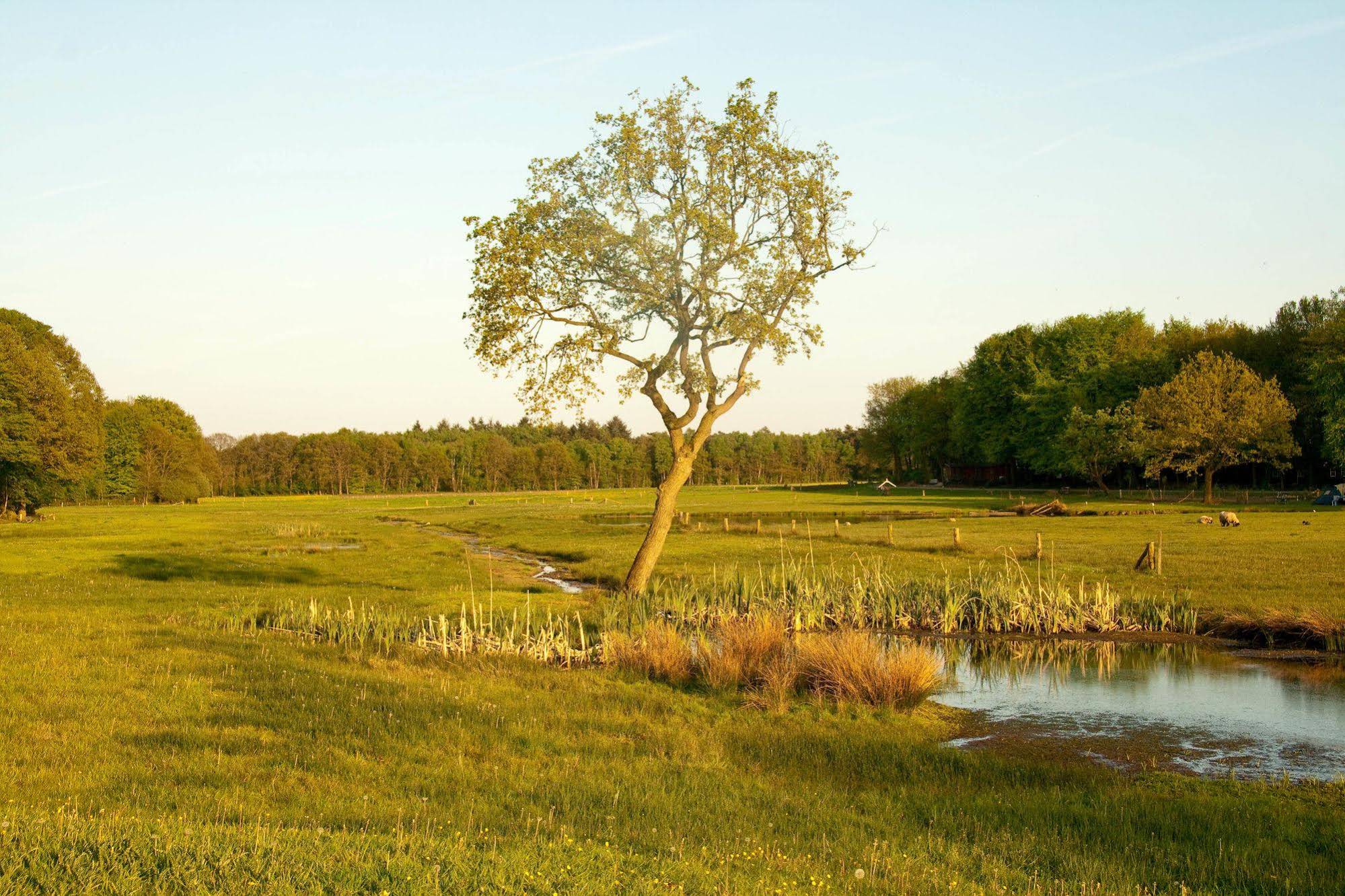 Hoeve Springendal