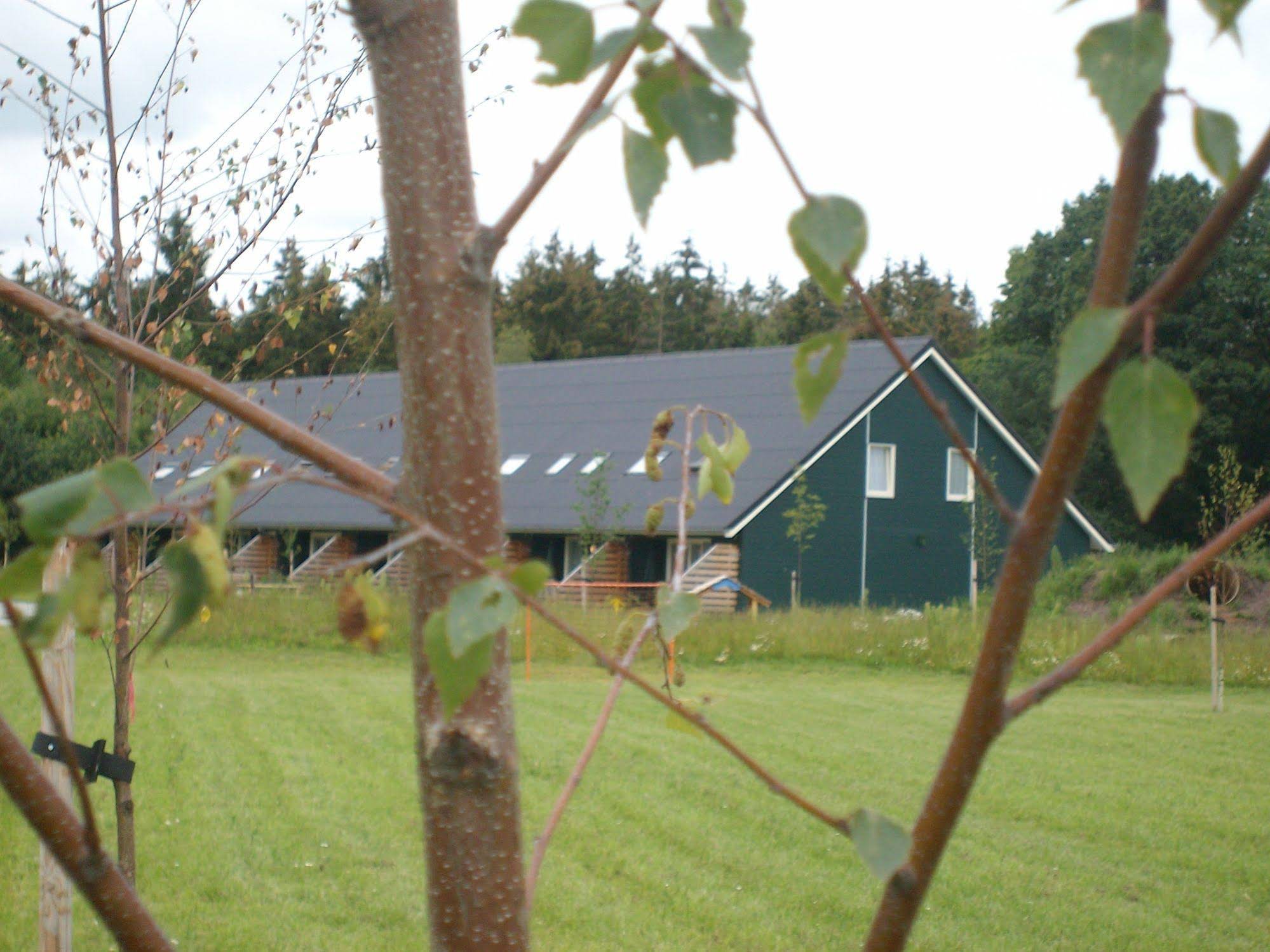 Horsetellerie Rheezerveen