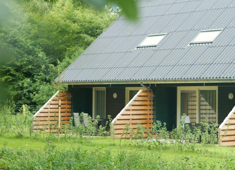 Horsetellerie Rheezerveen