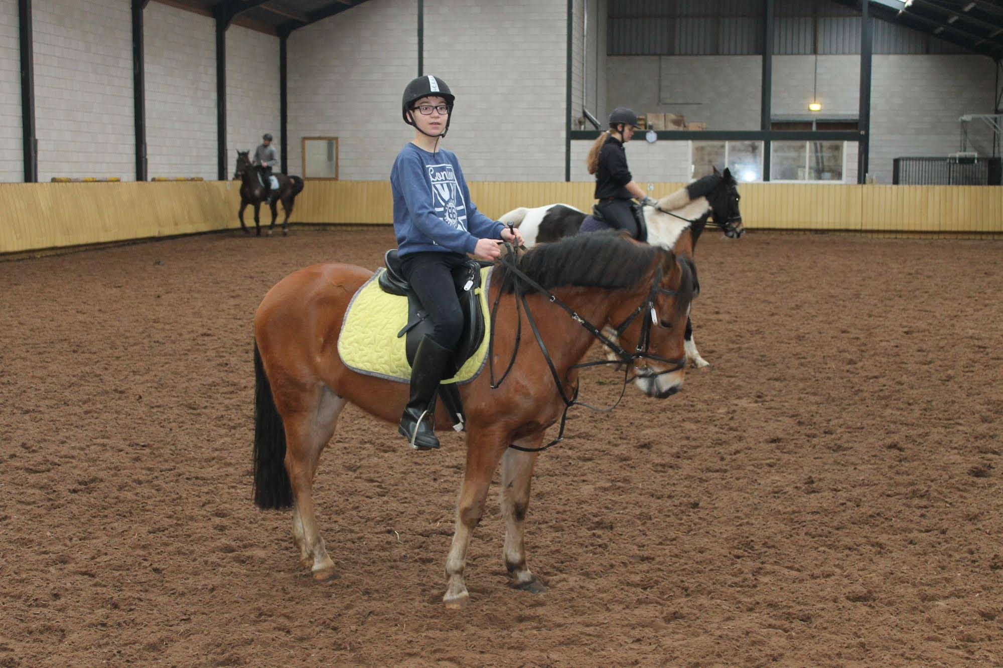 Horsetellerie Rheezerveen