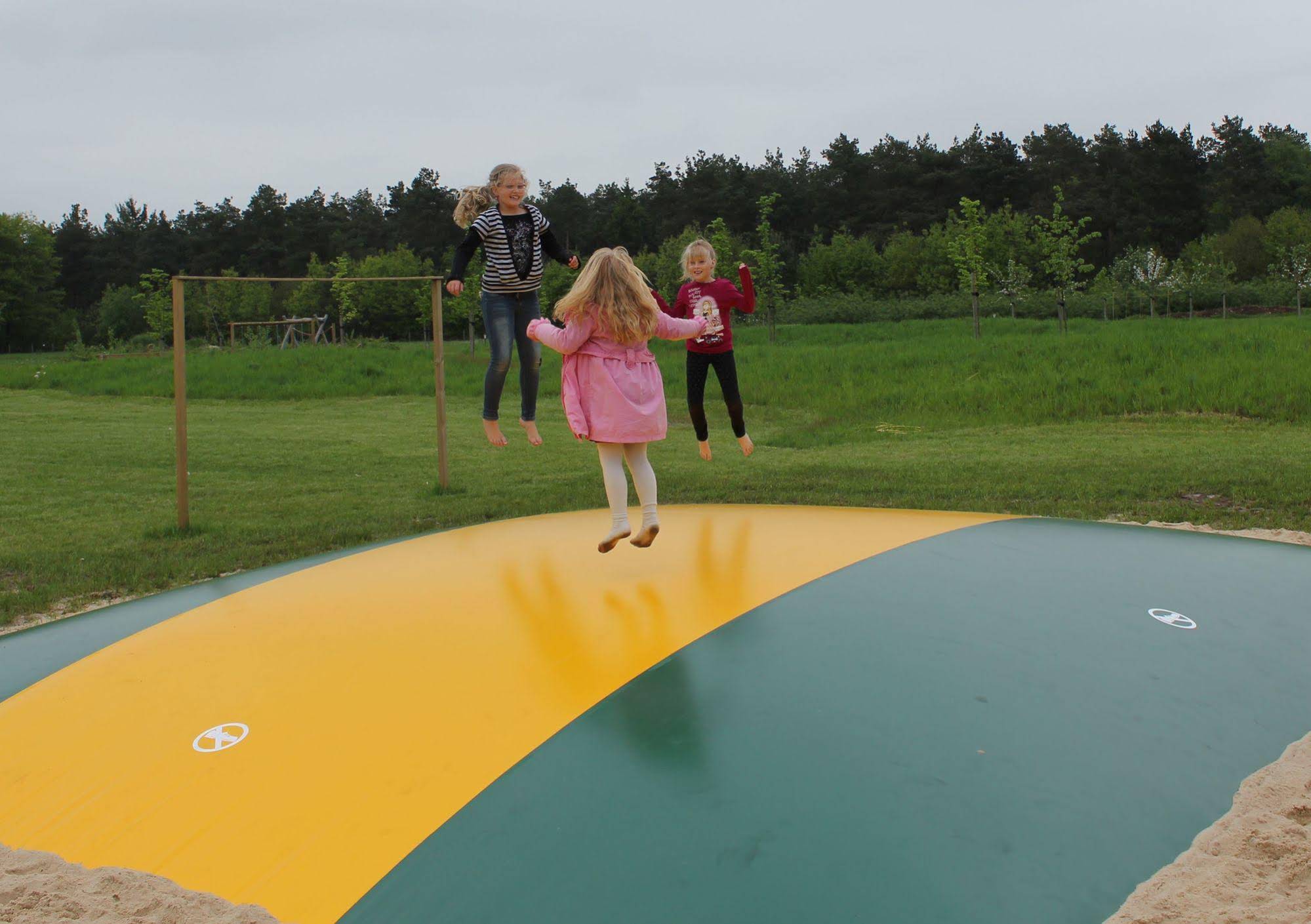 Horsetellerie Rheezerveen