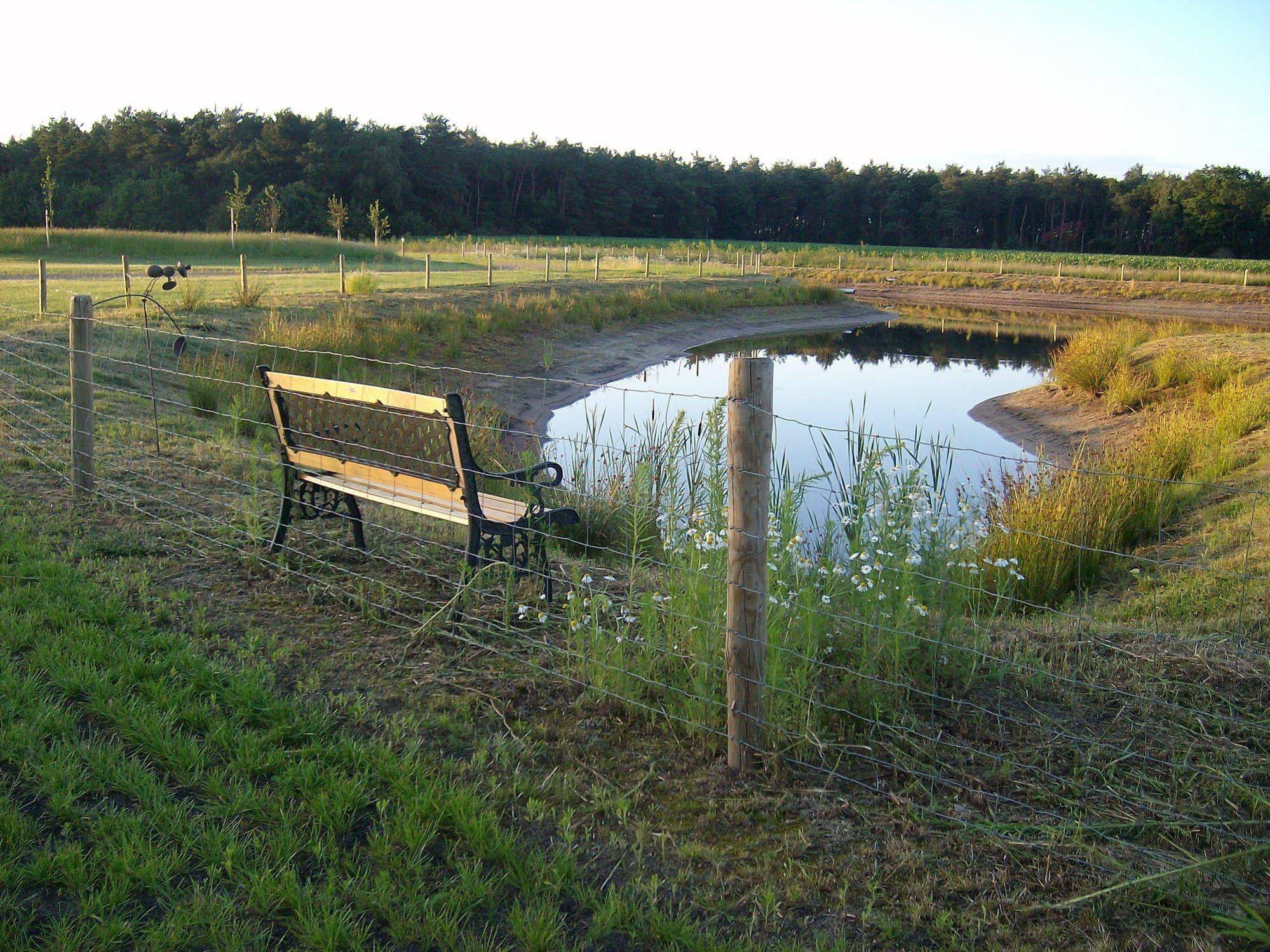 Horsetellerie Rheezerveen